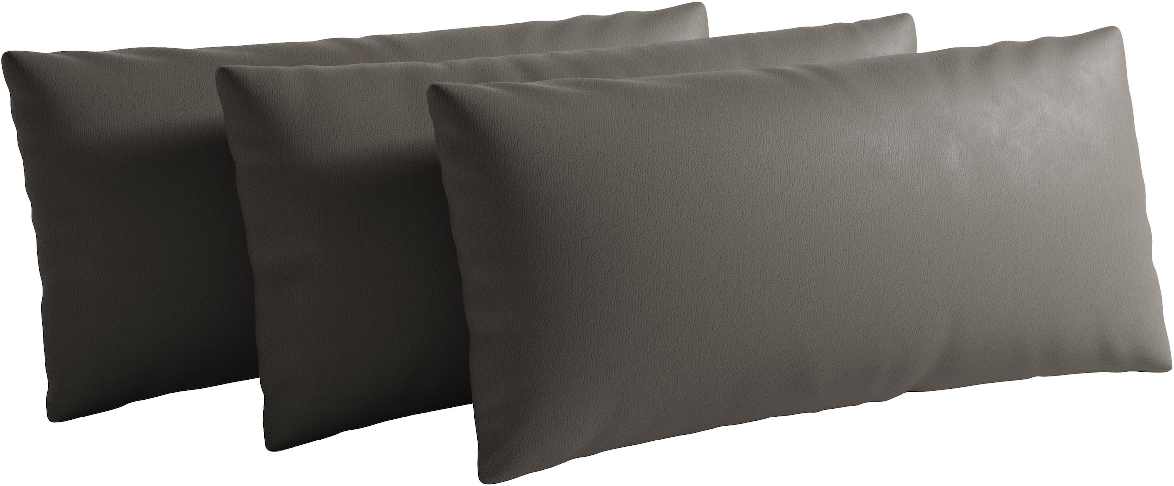 Image of sit&more Sofakissen "Chelsea, 60 cm, Leder" zur Auswahl Sets mit 2 oder 3 Stück