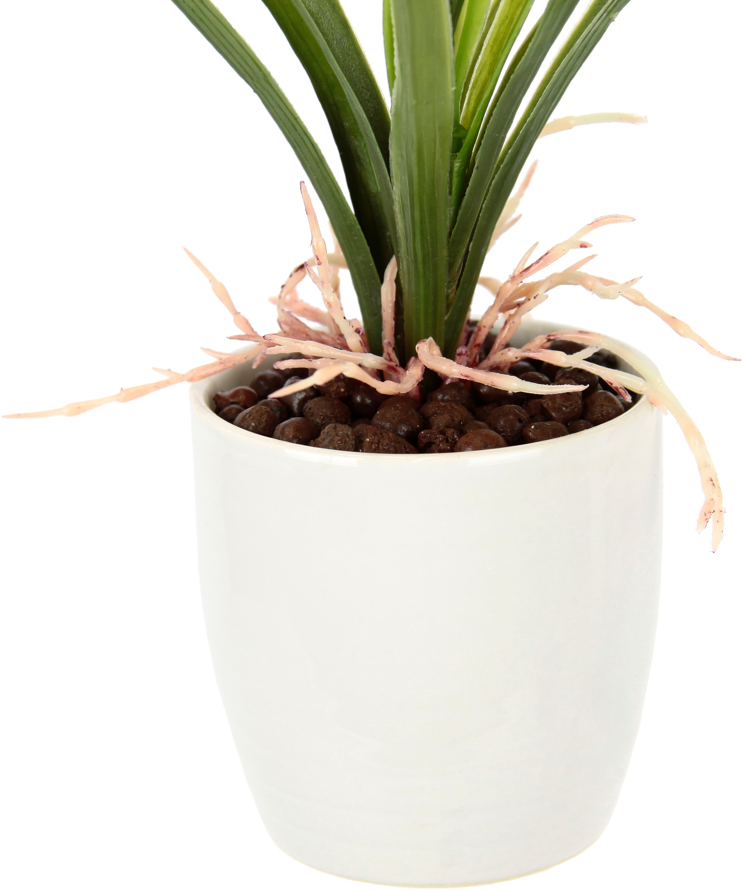 I.GE.A. Kunstblume »Orchidee«, Mit Blätter im Topf aus Keramik Künstliche Blume Cymbidium-Orchidee