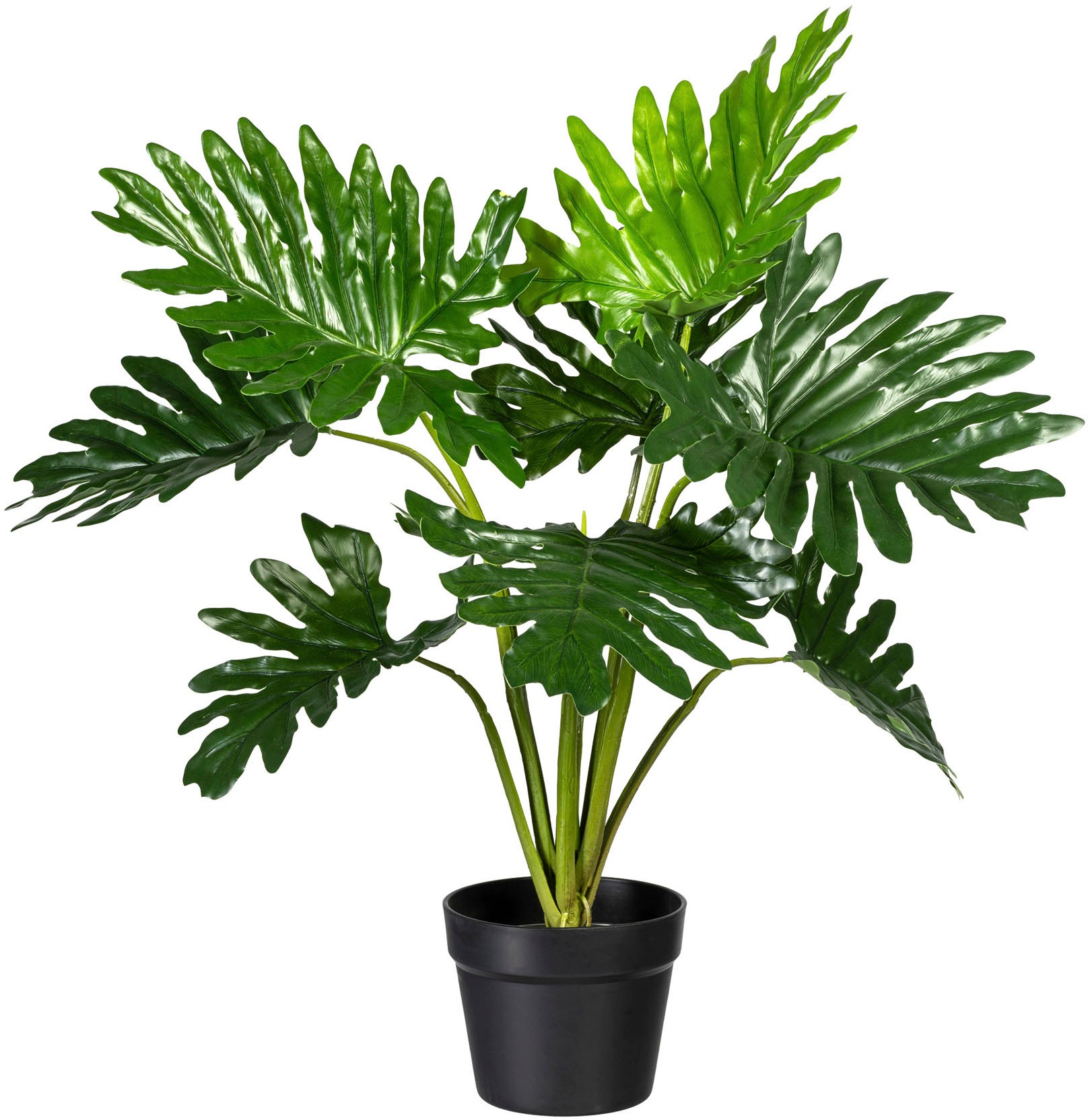 Image of Creativ green Künstliche Zimmerpflanze »Monstera«, (1 St.) bei Ackermann Versand Schweiz