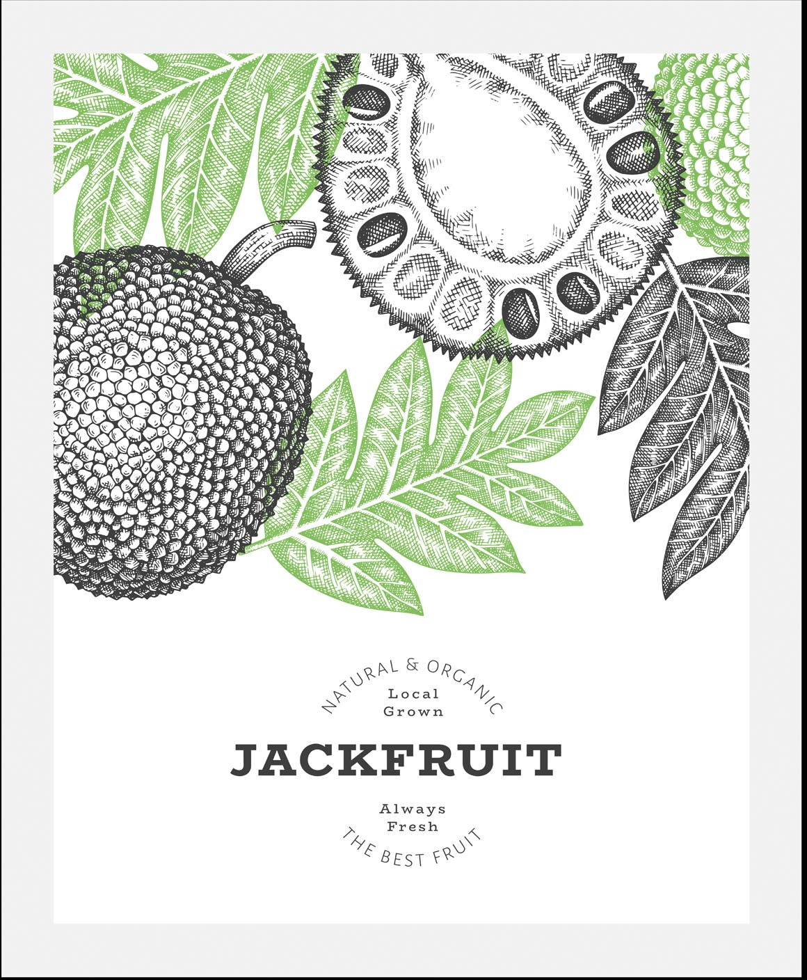 queence Bild »Jackfruit« Abstrakt | Figuren | Obst | Obst Bilder | Schriftzug 1 Stk. tlg. gerahmt