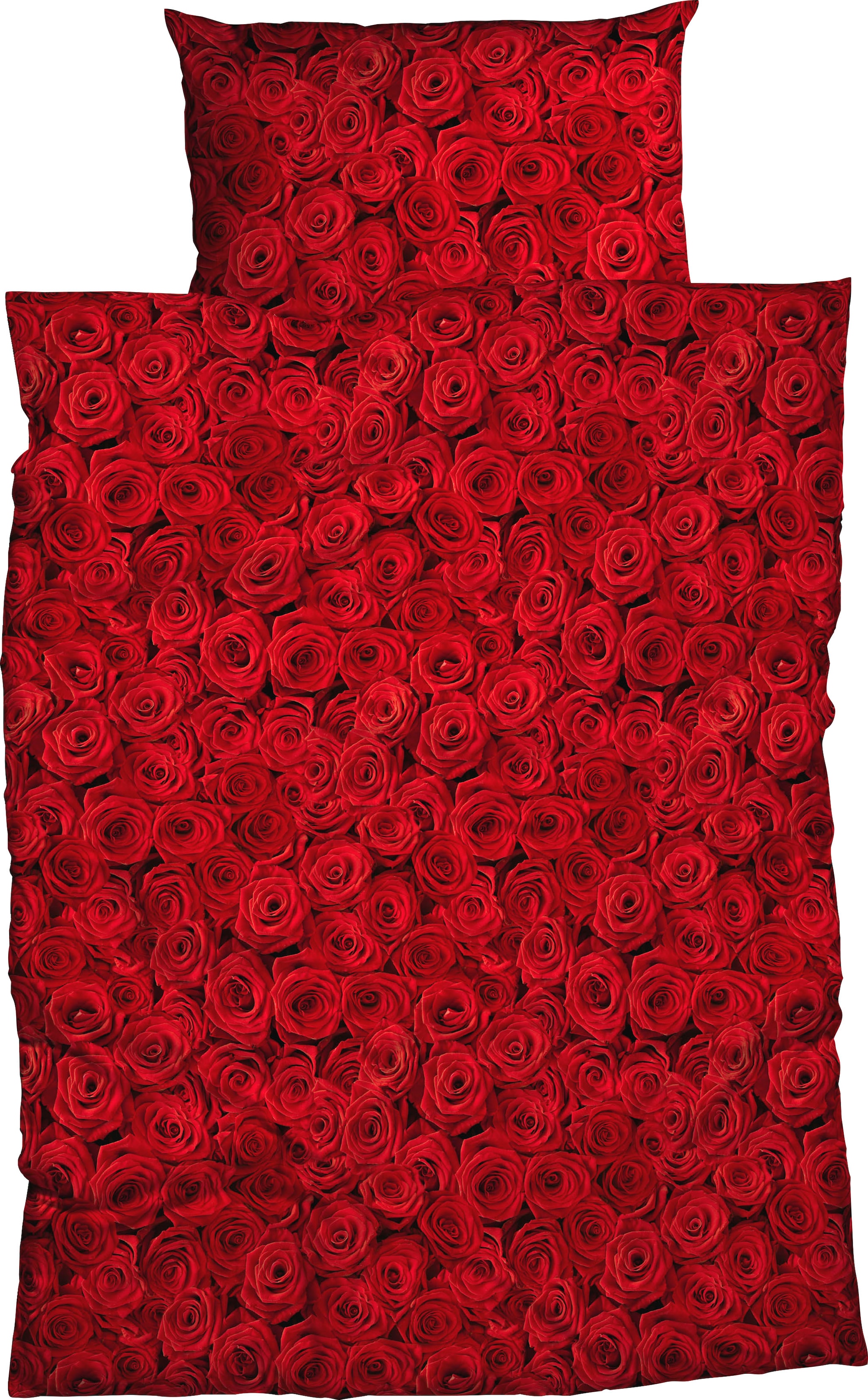 CASATEX Bettwäsche »Red Rose«, romantische rote Rosen