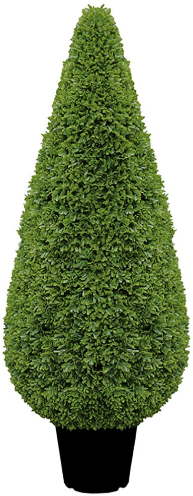 Image of Fink Kunstpflanze »Buchsbaum Kegel, getopft«, (1 St.), Dekopflanze Buxus, aus Kunststoff, im Topf, verschiedene Höhen erhältlich, In- und Outdoor geeignet bei Ackermann Versand Schweiz