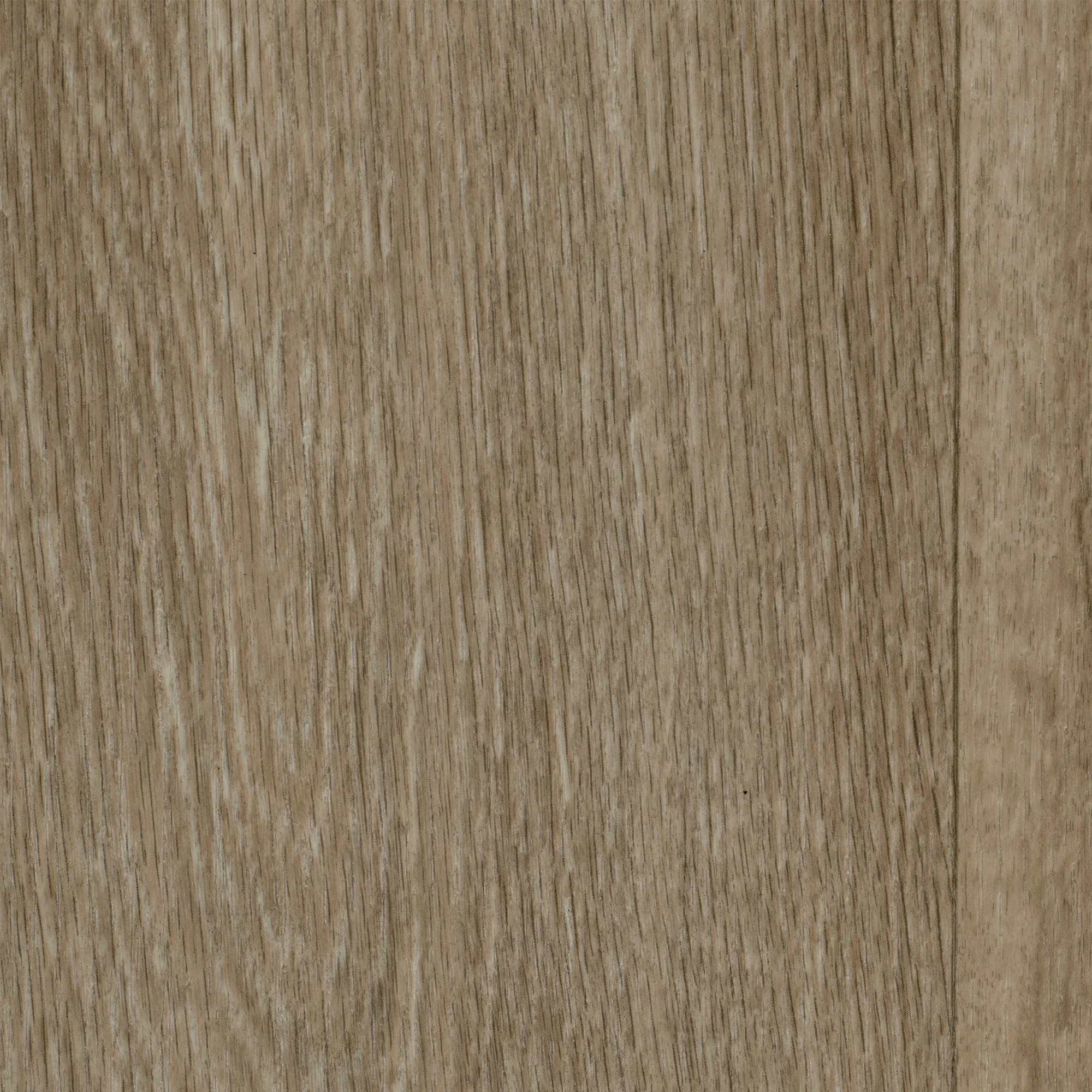 Image of Bodenmeister Vinylboden »PVC Bodenbelag Holzoptik Diele Eiche hell creme«, Meterware, Breite 400/500 cm bei Ackermann Versand Schweiz