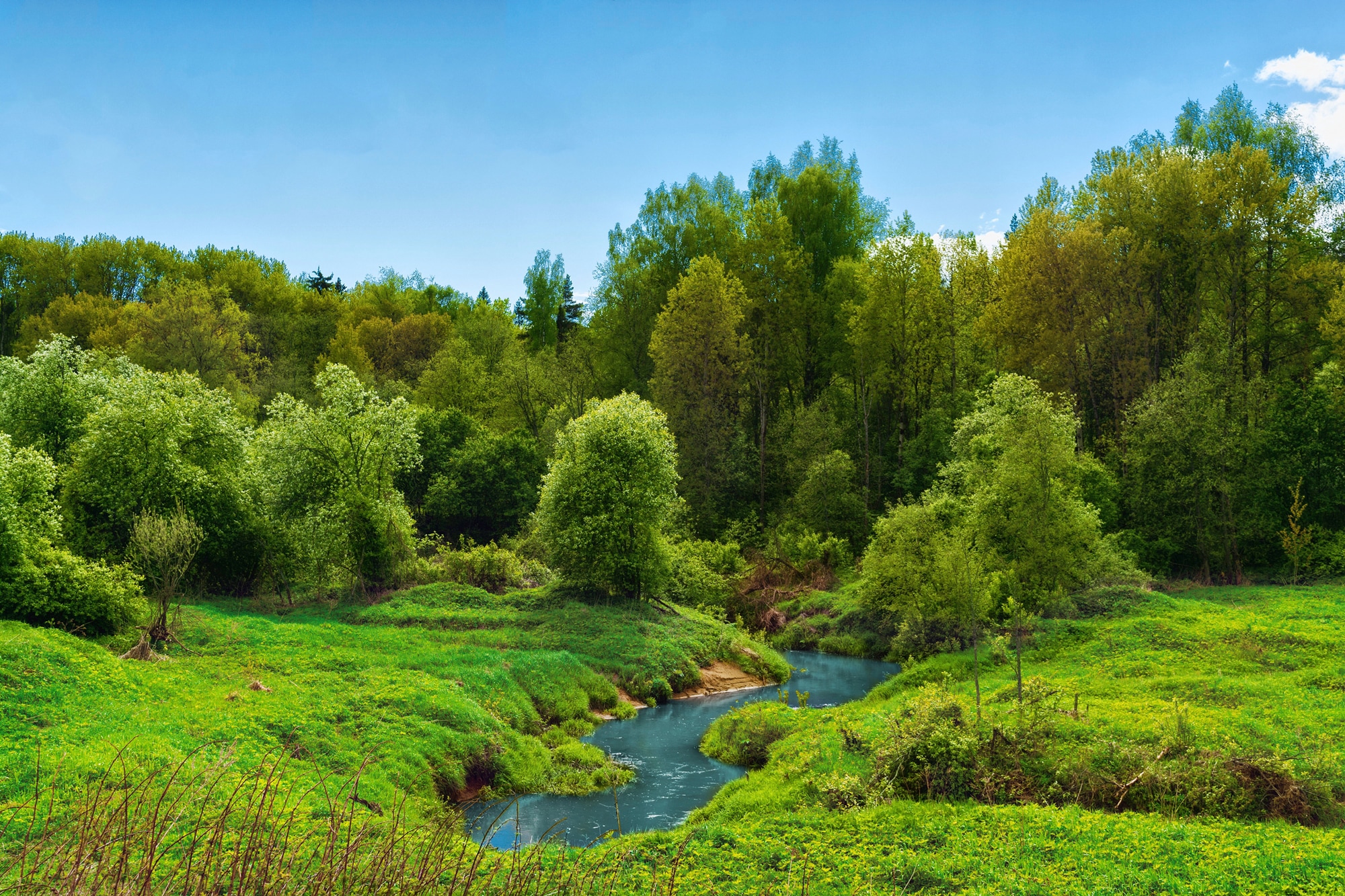 Image of Papermoon Fototapete "FLUSS IM WALD-BAUM NATUR DSCHUNGEL SONNE WEG WASSERFALL"