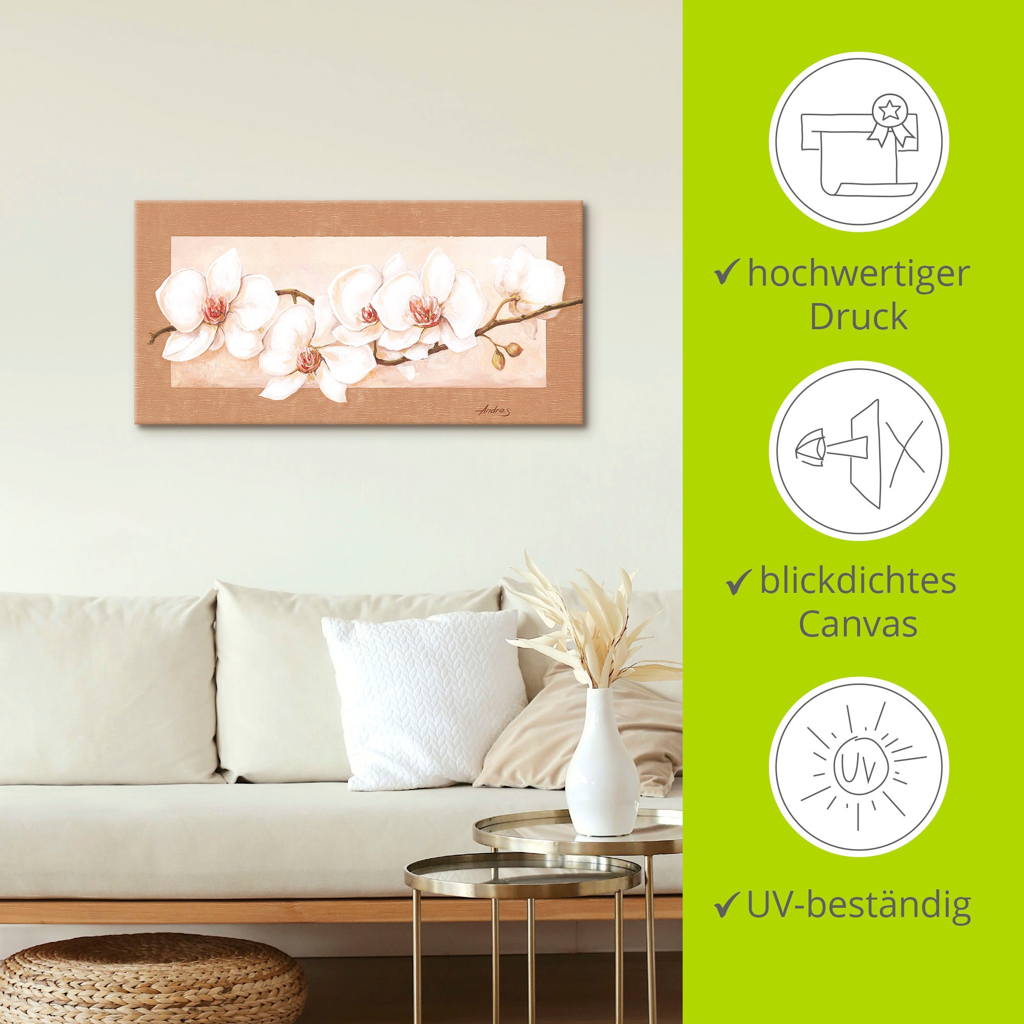 Artland Wandbild »Orchideenzweig«, Blumenbilder, (1 St.), als Alubild, Outdoorbild, Leinwandbild in verschied. Grössen