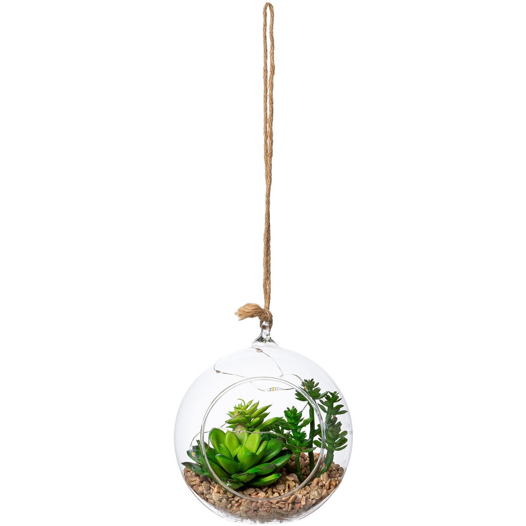 Creativ green Künstliche Zimmerpflanze »Sukkulenten-Mix mit LED-Beleuchtung«