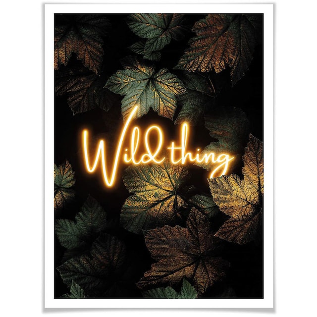 Wall-Art Poster »Wild Thing«, Schriftzug, (1 St.) günstig kaufen