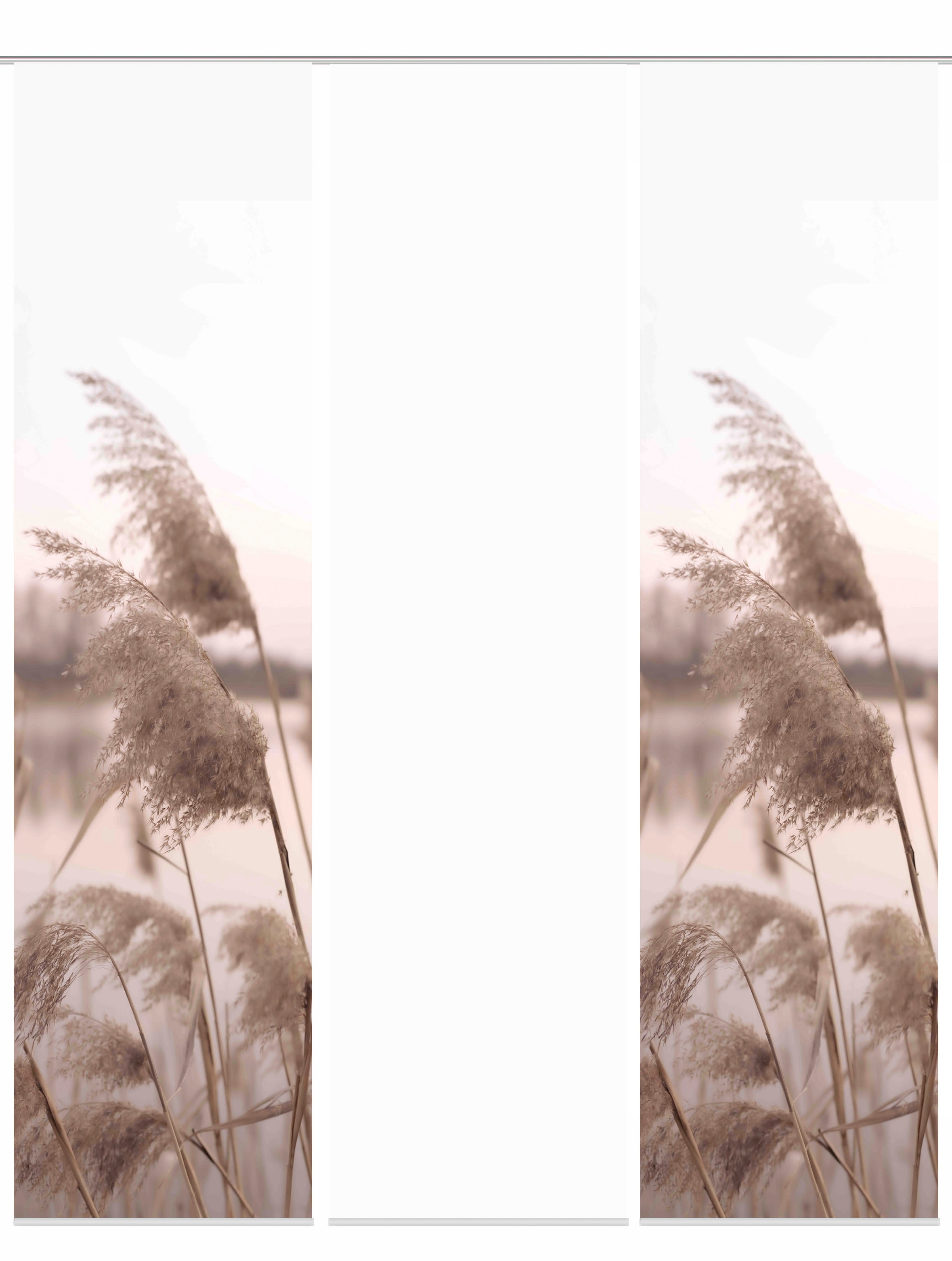 Image of HOME WOHNIDEEN Schiebegardine »TRAWY«, (3 St.), Schiebevorhang Digi 3er Set TRAWY bei Ackermann Versand Schweiz