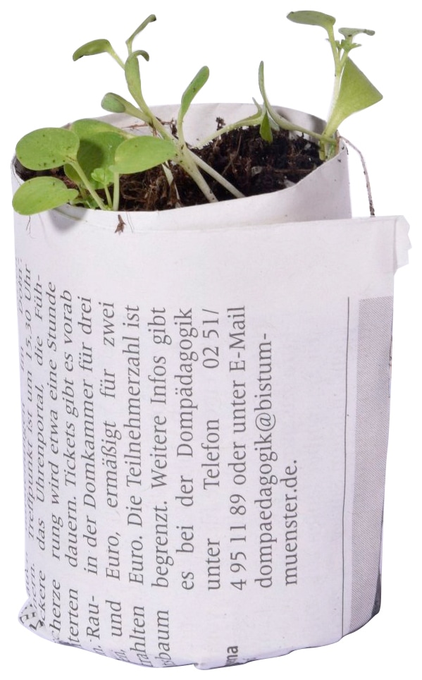 dobar Pot de culture 3 Stk., ØxH: 7x16, 9x18 und 11x20 cm