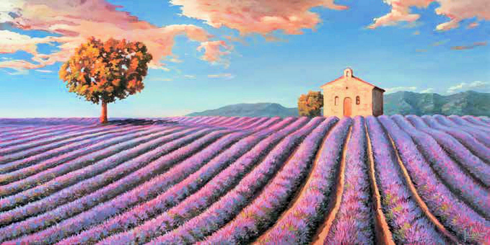 Image of DELAVITA Kunstdruck »Campi di Lavanda«, (1 St.) bei Ackermann Versand Schweiz