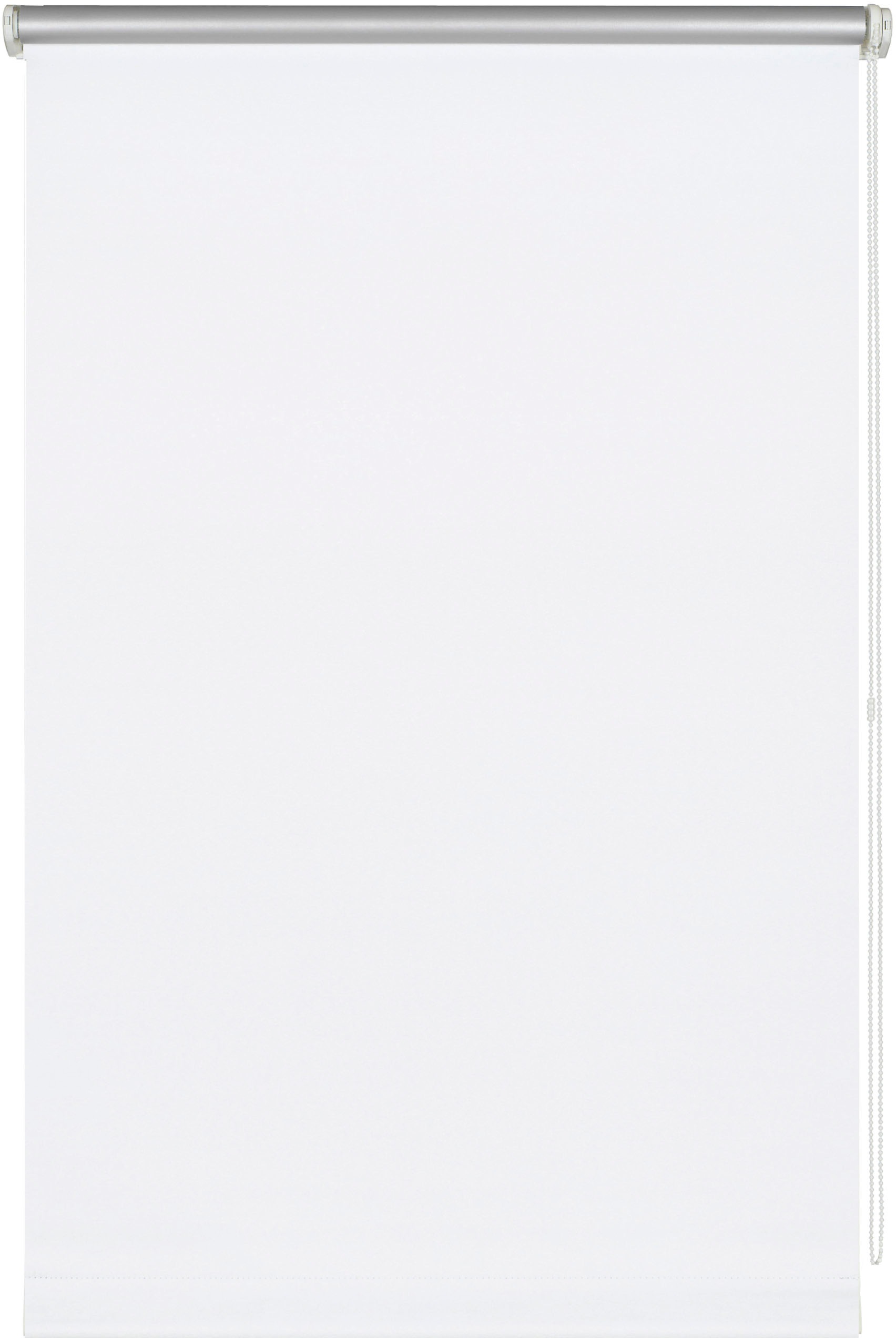 Image of my home Seitenzugrollo »Thermo Rollo zum Klemmen«, abdunkelnd, energiesparend, mit alubeschichteter Rückseite bei Ackermann Versand Schweiz