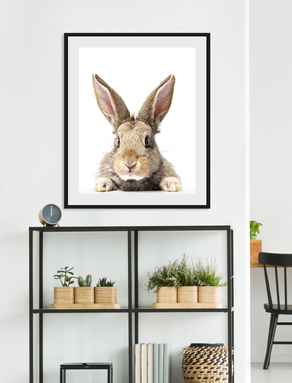 Image of queence Bild "Joona" Foto Haustiere Kunst 1 Stk. tlg. HD Premium Poster-Druck inkl. Holzrahmen