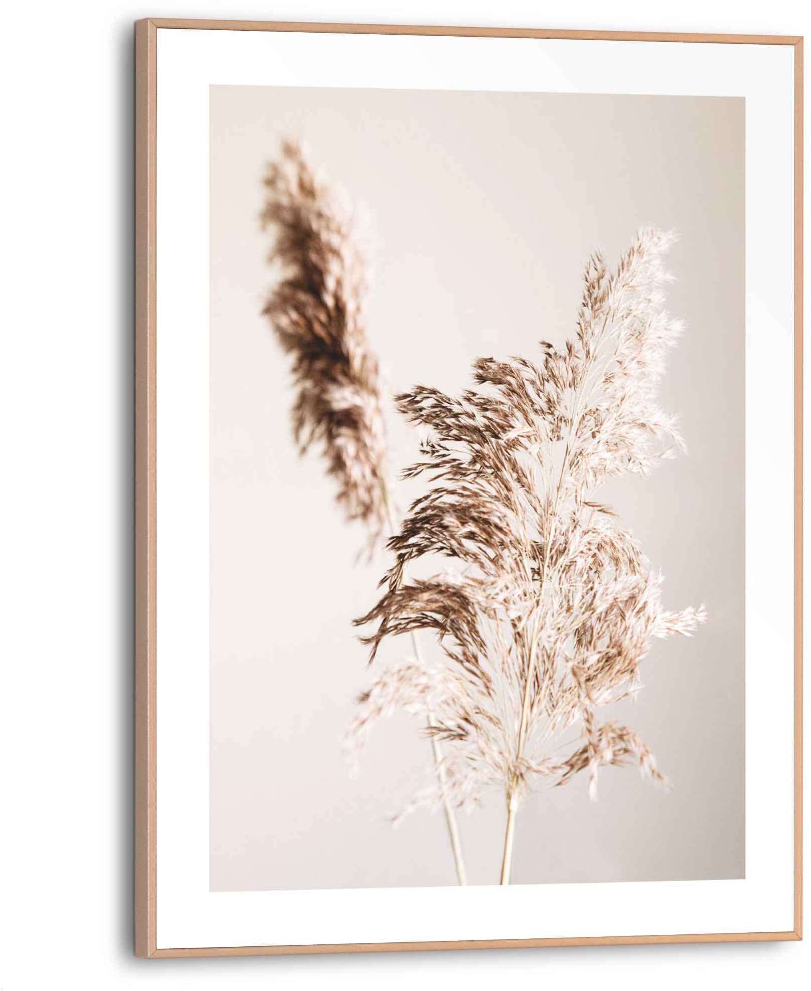 Image of Reinders! Bild »Pampas Natur - Ruhe - Trockenblume«, (1 St.) bei Ackermann Versand Schweiz