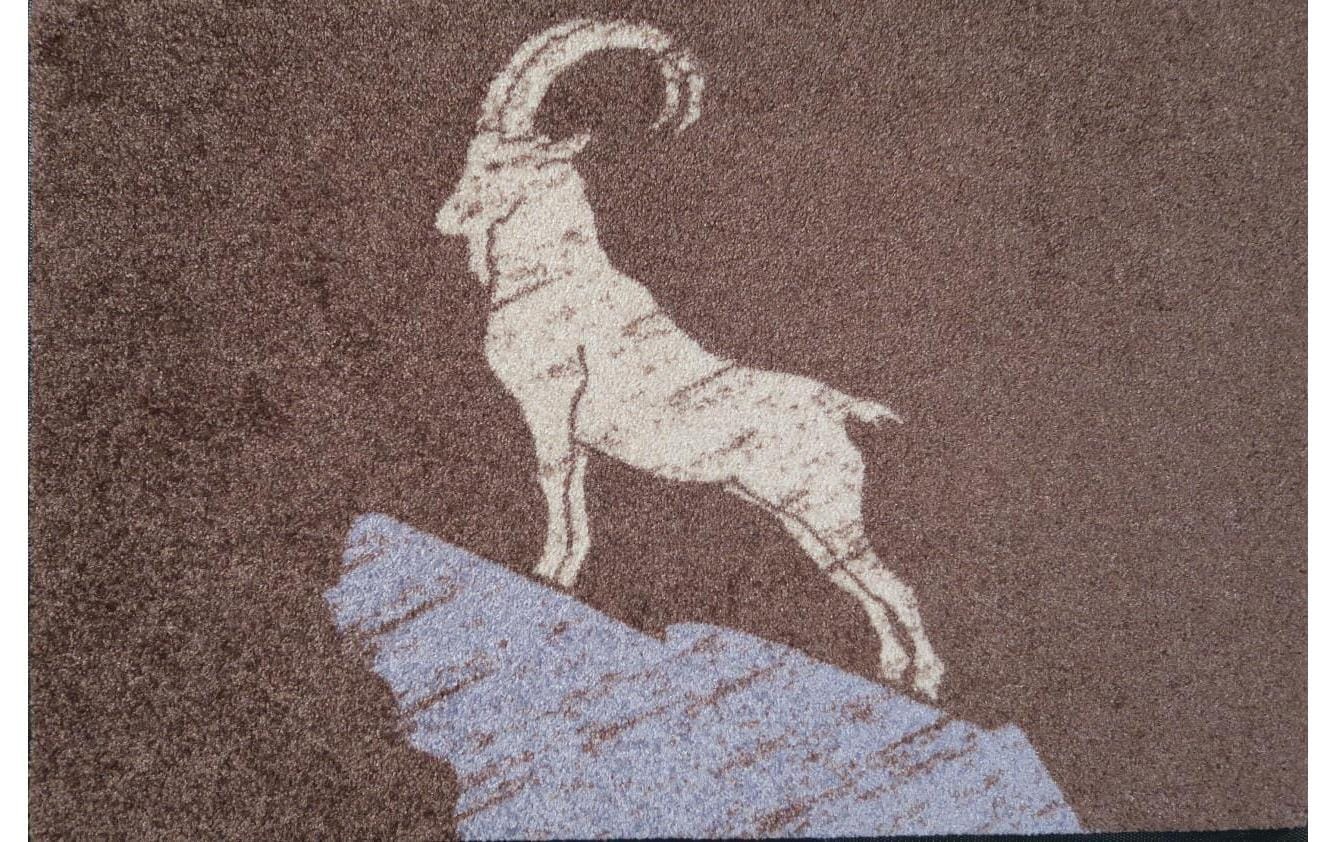 Image of wash+dry by Kleen-Tex Fussmatte "Steinbock, Braun" quadratisch