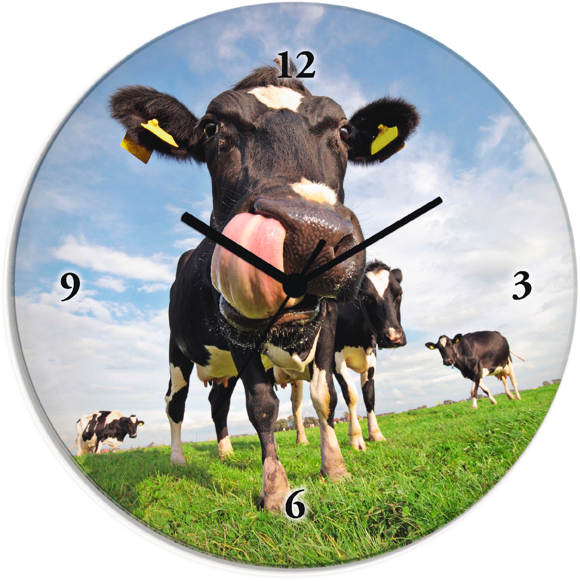 Image of Artland Wanduhr "Holstein-Kuh mit gewaltiger Zunge" wahlweise mit Quarz- oder Funkuhrwerk, lautlos ohne Tickgeräusche