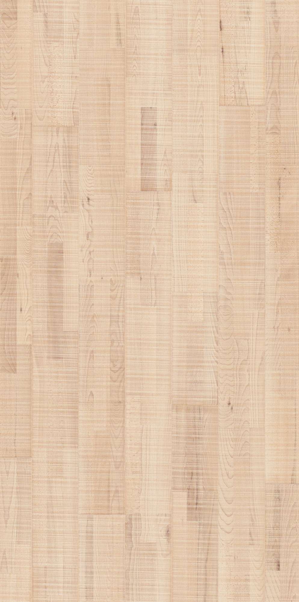 Image of PARADOR Parkett »Trendtime 6 Living - Buche, lackiert«, (Packung), Klicksystem, 2200 x 185 mm, Stärke: 13 mm, 3,66 m² bei Ackermann Versand Schweiz
