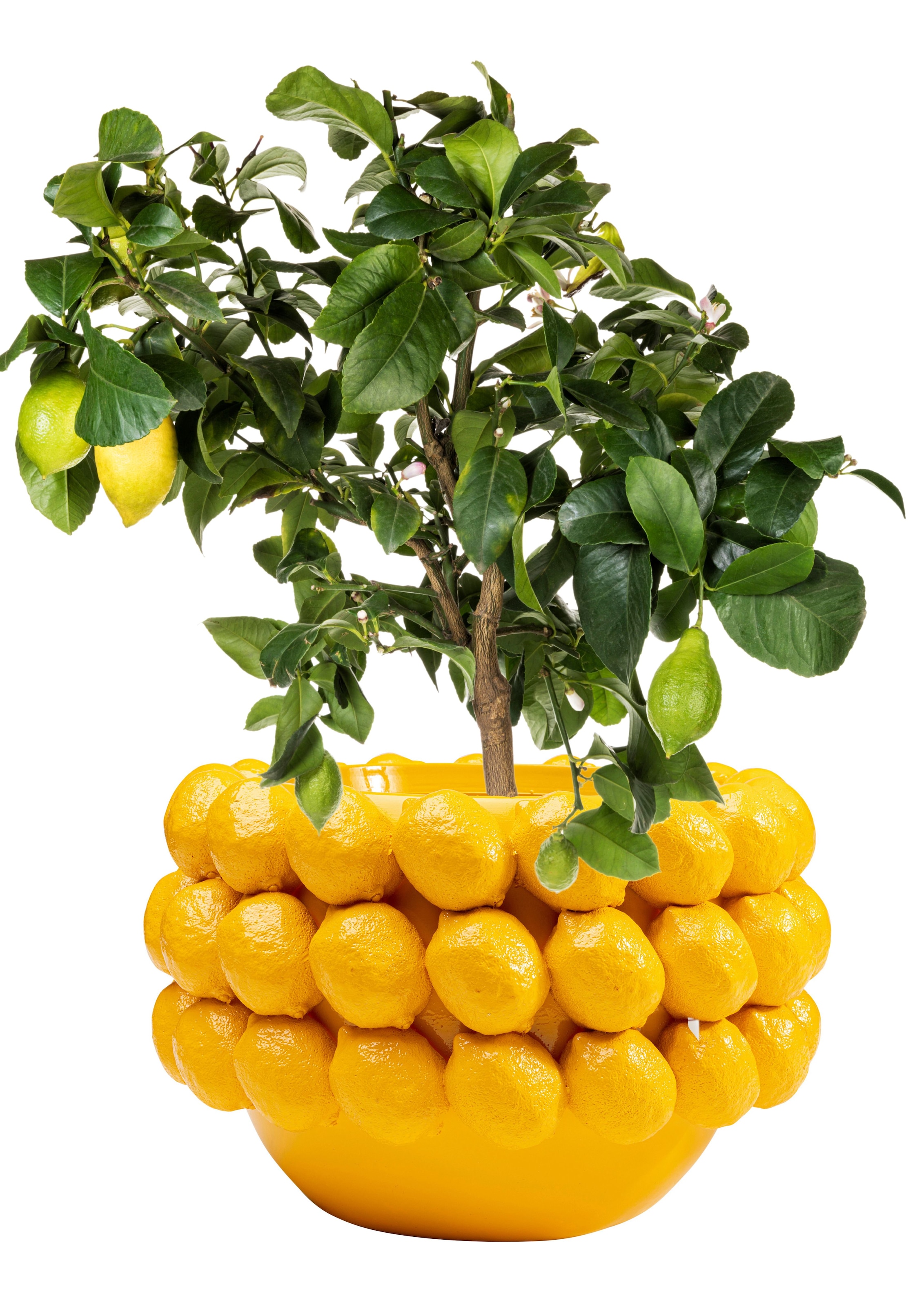 Kare Design Übertopf »Deko Übertopf Lemon Juice 22cm«