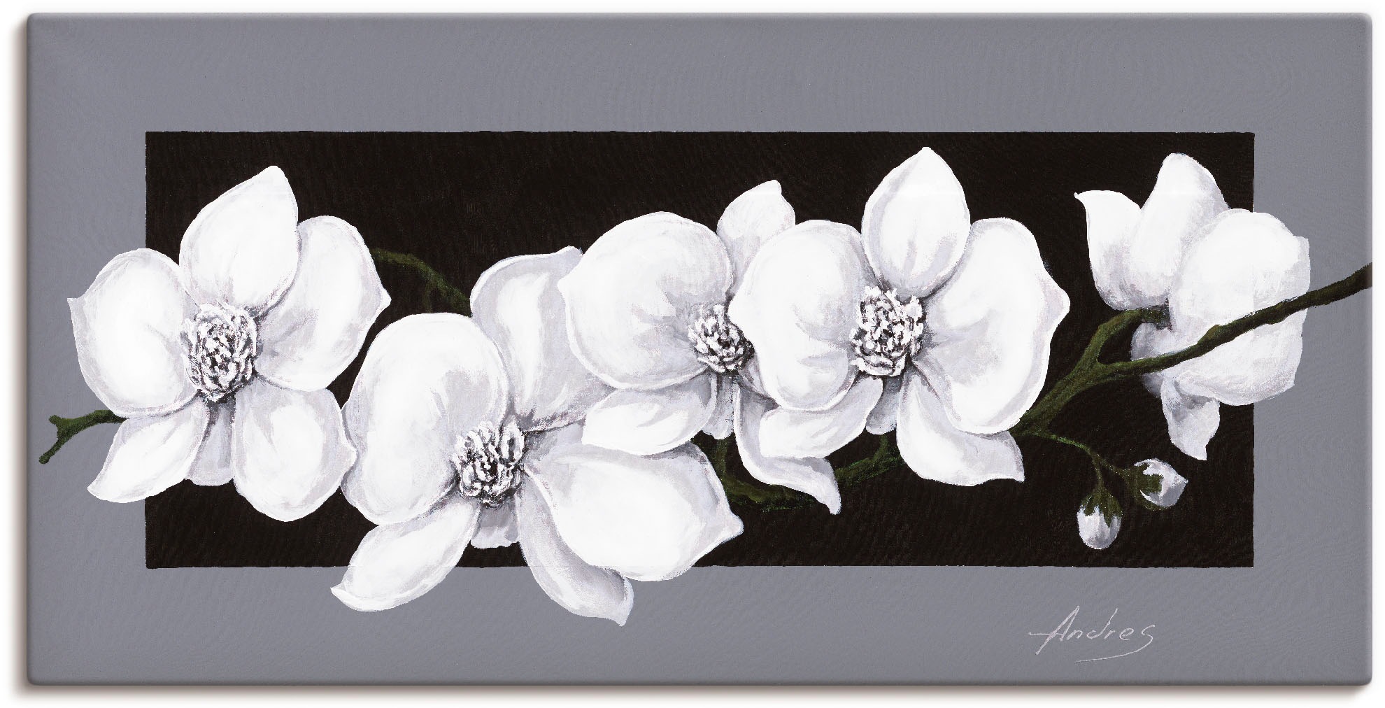 Image of Artland Wandbild "Weisse Orchideen auf grau" Blumen 1 Stk. tlg. als Alubild, Leinwandbild, Poster in verschied. Grössen