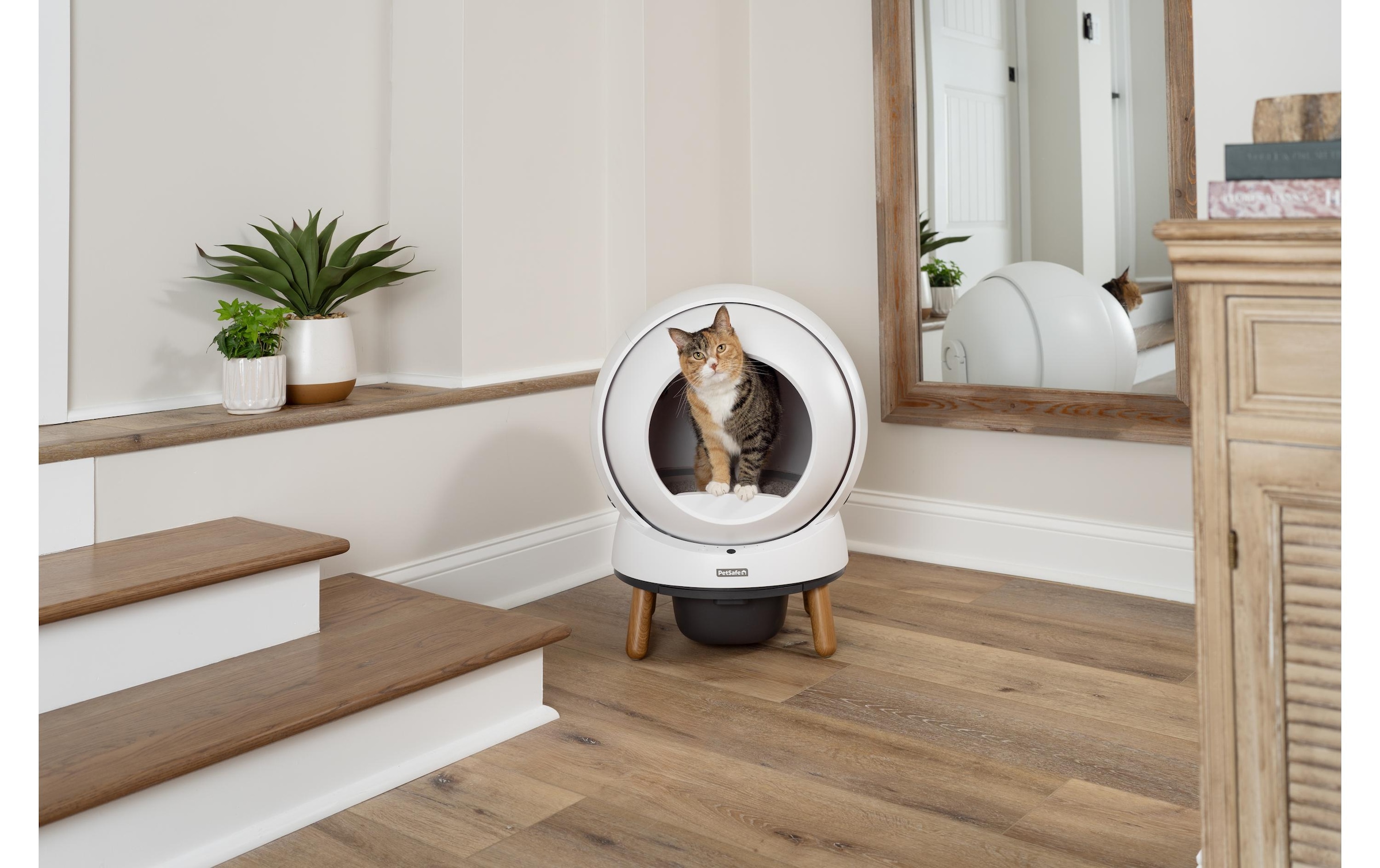 PetSafe Katzentoilette »ScoopFree SmartSpin«