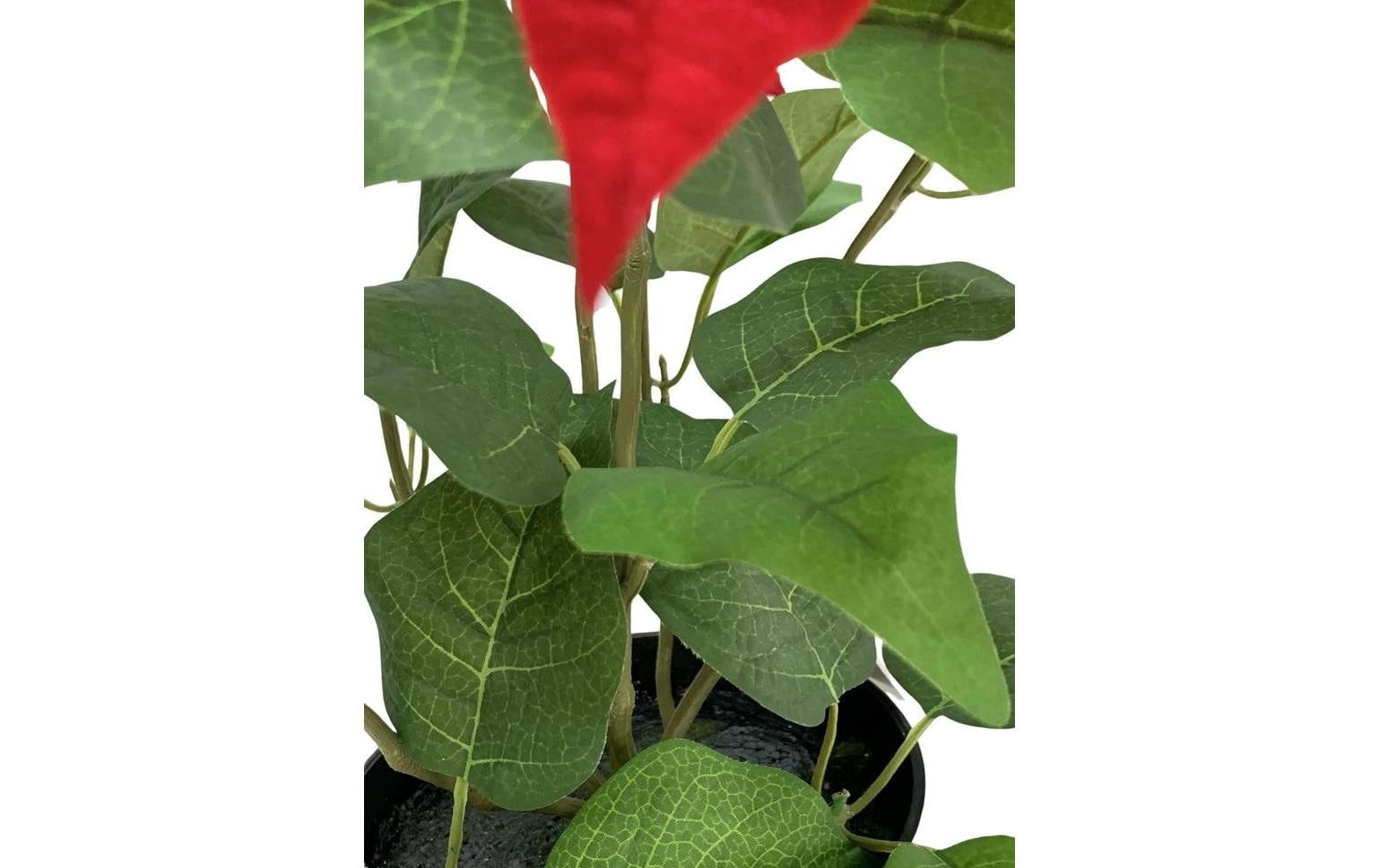 Botanic-Haus Kunstblume »im Topf, Rot«