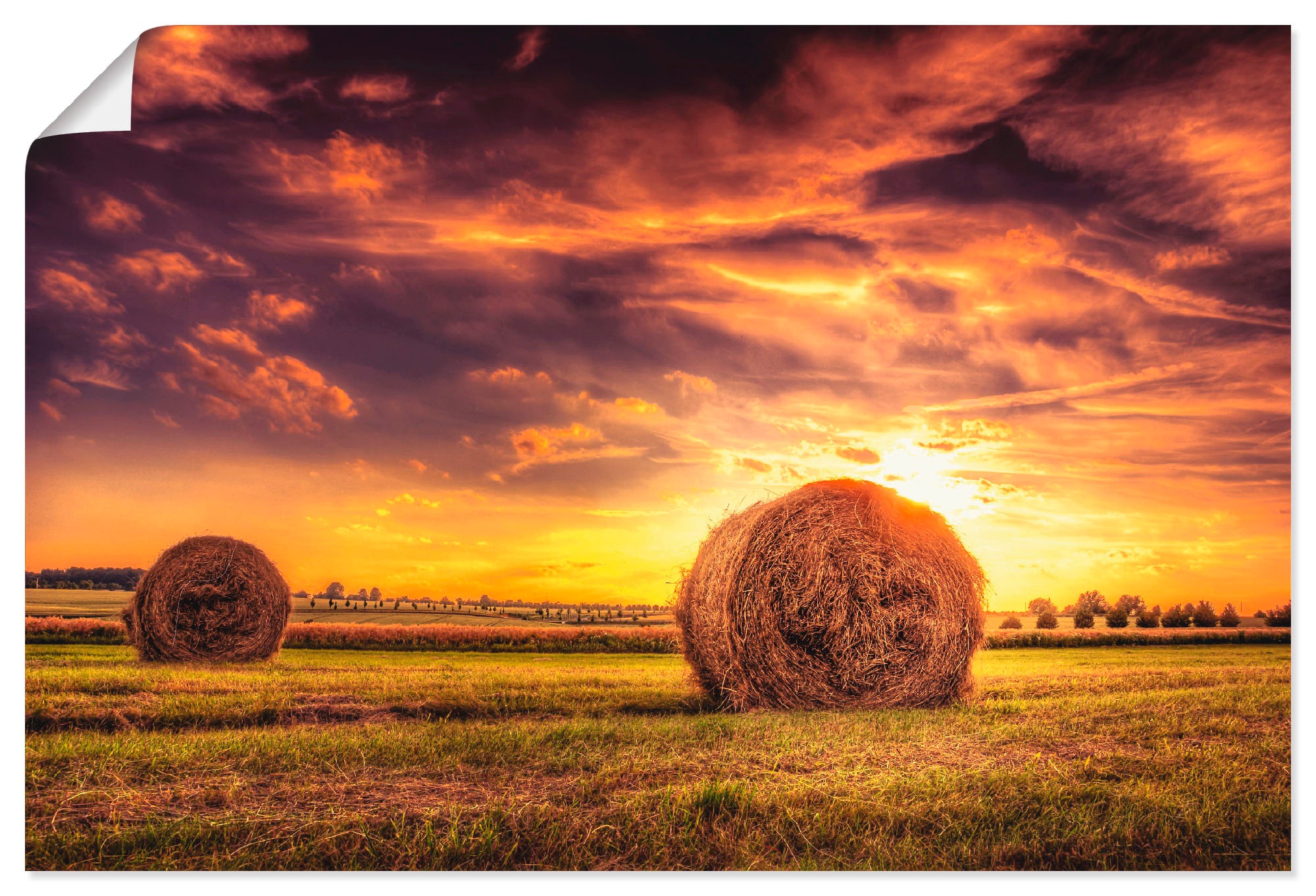 Image of Artland Wandbild »Sommerabend«, Felder, (1 St.), in vielen Grössen & Produktarten - Alubild / Outdoorbild für den Aussenbereich, Leinwandbild, Poster, Wandaufkleber / Wandtattoo auch für Badezimmer geeignet bei Ackermann Versand Schweiz