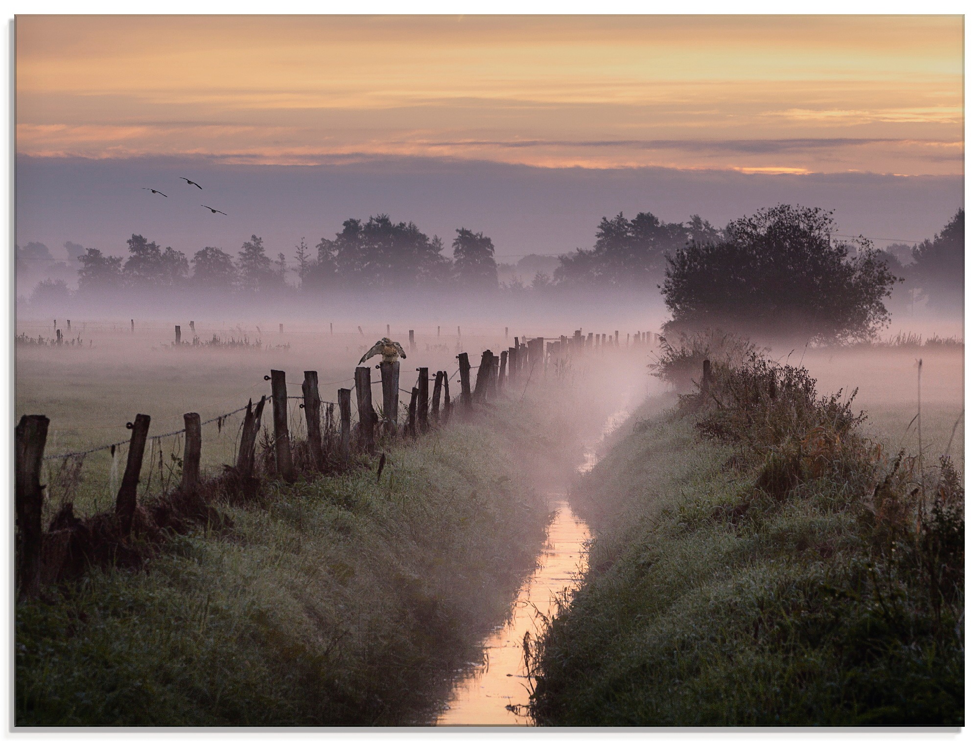 Image of Artland Glasbild »Applaus für den Herbst...«, Felder, (1 St.) bei Ackermann Versand Schweiz