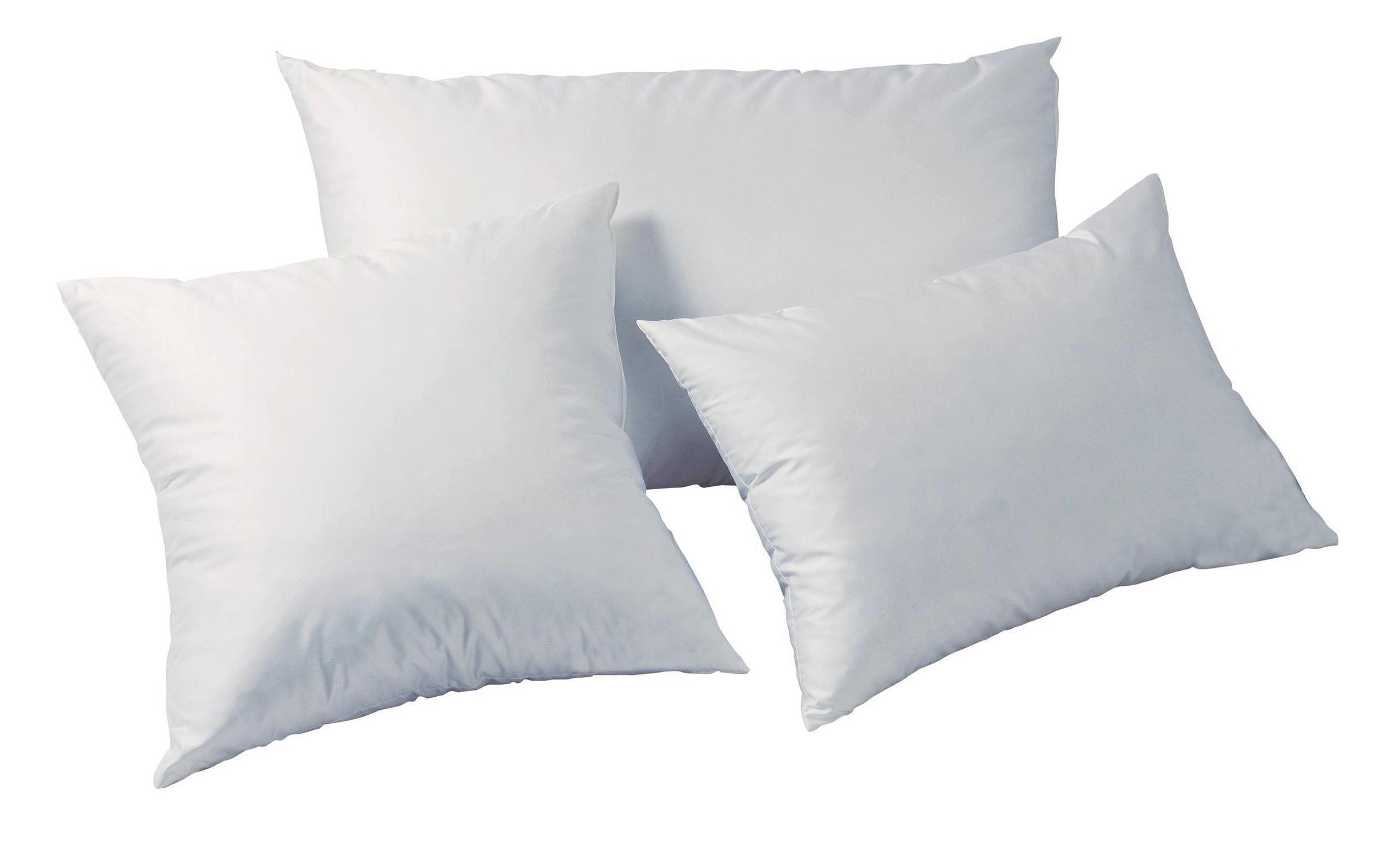 Image of DOR Kopfkissen »Gaura Premium Medium, 65 x 100 cm«, (1 St.) bei Ackermann Versand Schweiz