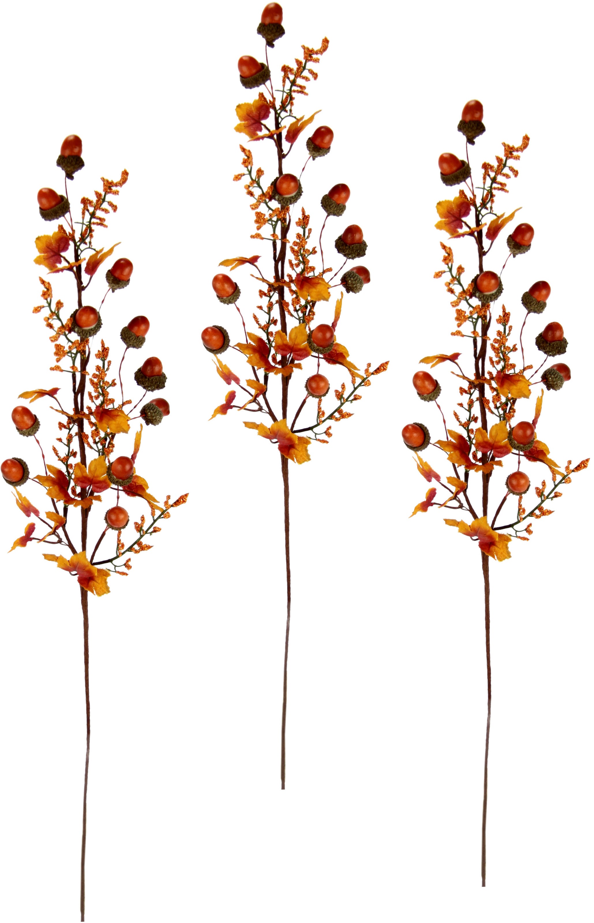 Image of I.GE.A. Kunstzweig »Herbstzweige«, (3 St.), Mit Eicheln, Beeren und Herbstlaub, 3er Set bei Ackermann Versand Schweiz