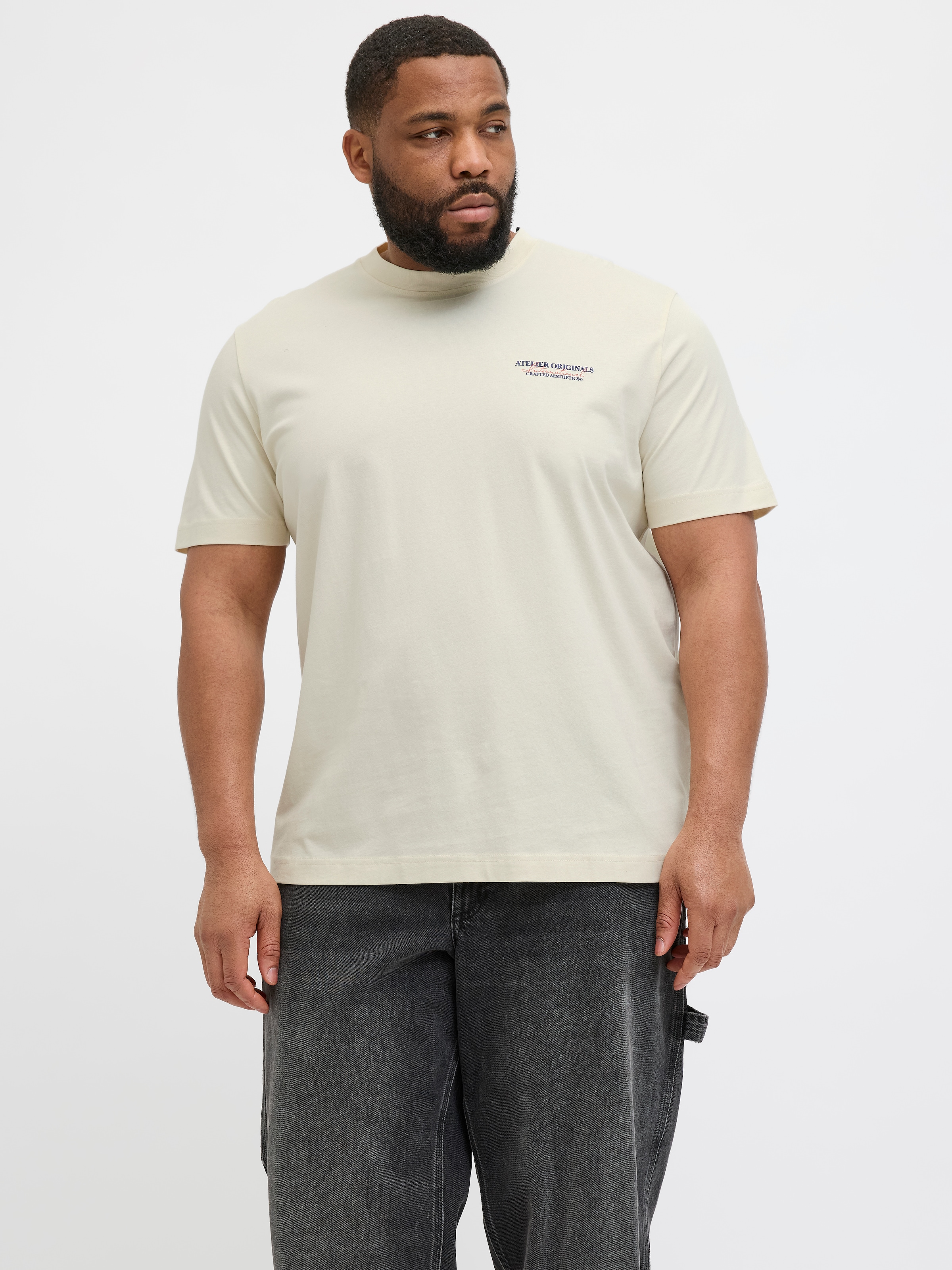 Jack & Jones PlusSize Kurzarmshirt »JORISLINGTON TYPE TEE SS CREW NECK PLS«