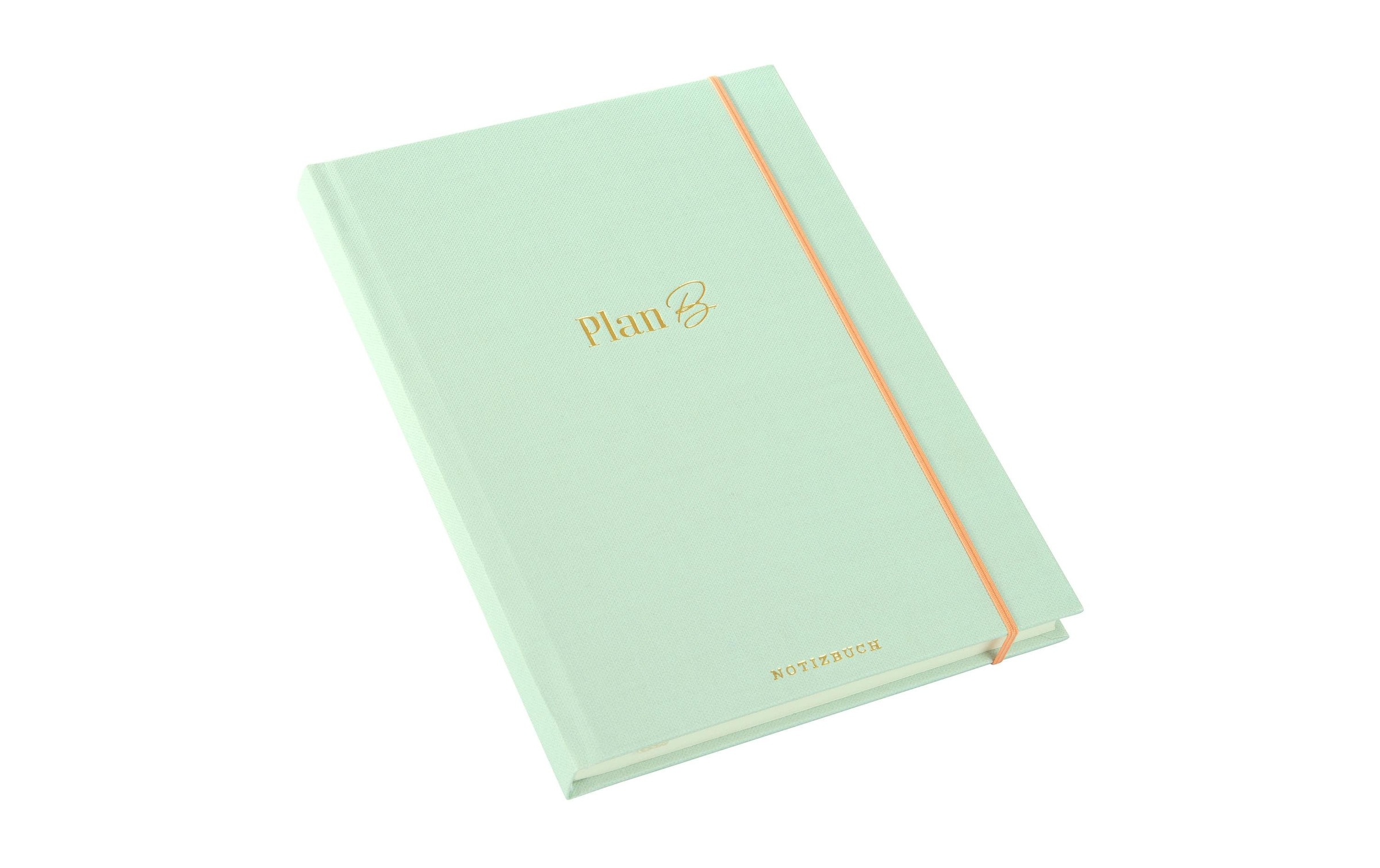 Goldbuch Notizbuch »Notizbuch Plan B A5, Dot«