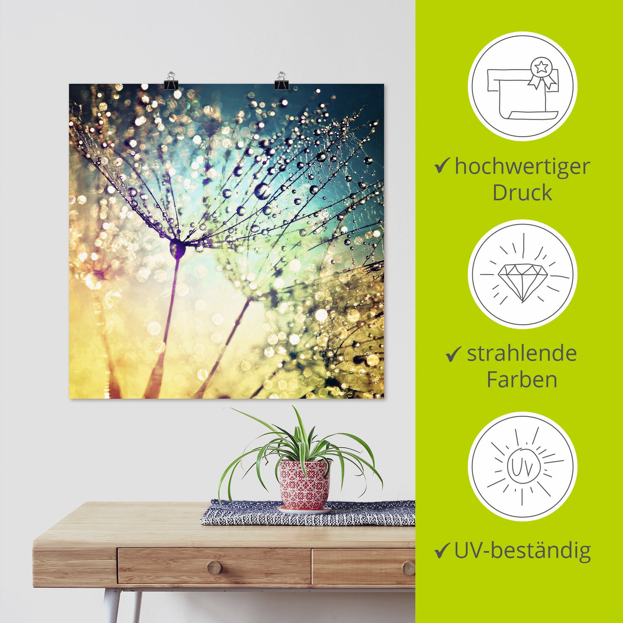 Artland Wandbild »Pusteblume Zaubertropfen« Blumen 1 Stk. tlg. als Alubild, Leinwandbild, Poster in verschied. Grössen
