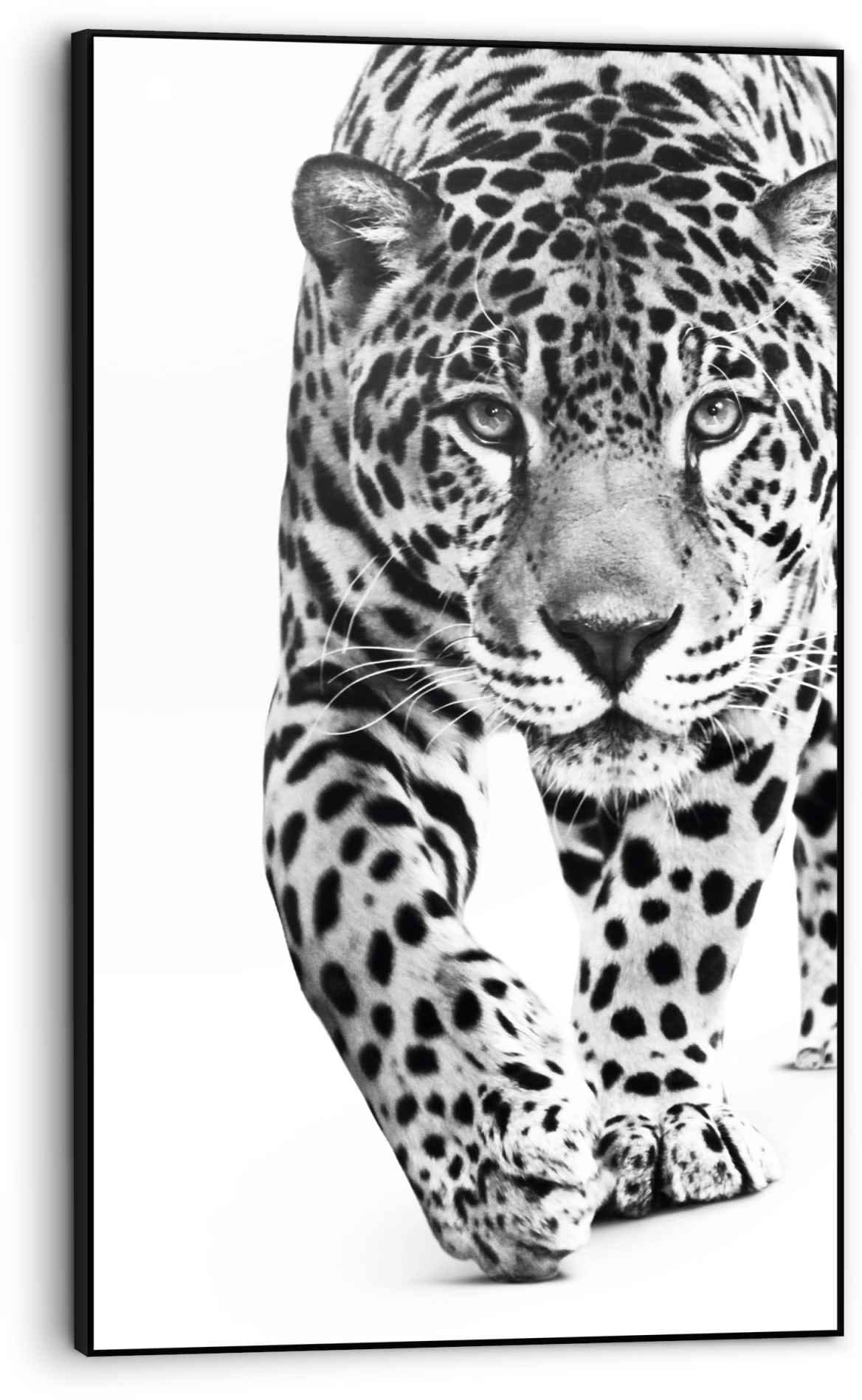 - Gefleckt«, (1 Bild St.) Panther Raubtier Reinders! - ♕ Bild versandkostenfrei »Gerahmtes Leopard auf - Kräftig Tiere,