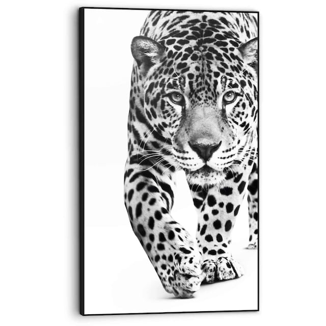 ♕ Reinders! Bild »Gerahmtes Bild Panther Kräftig - Leopard - Raubtier -  Gefleckt«, Tiere, (1 St.) versandkostenfrei auf