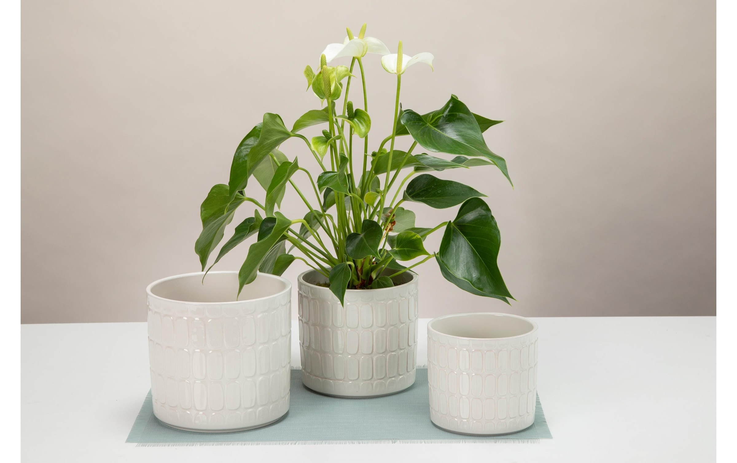 Scheurich Blumentopf »Opale 18.6 cm«