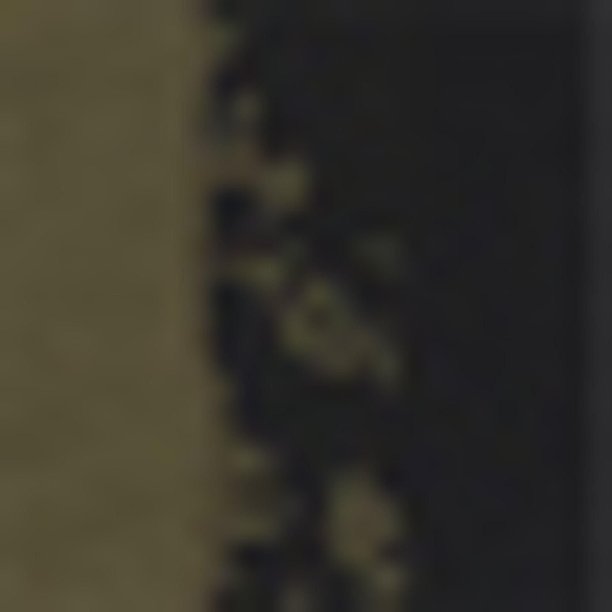 HUGO Underwear Trunk »TRUNK TRIPLET DESIGN« Packung, 3 Stk. mit Logobund