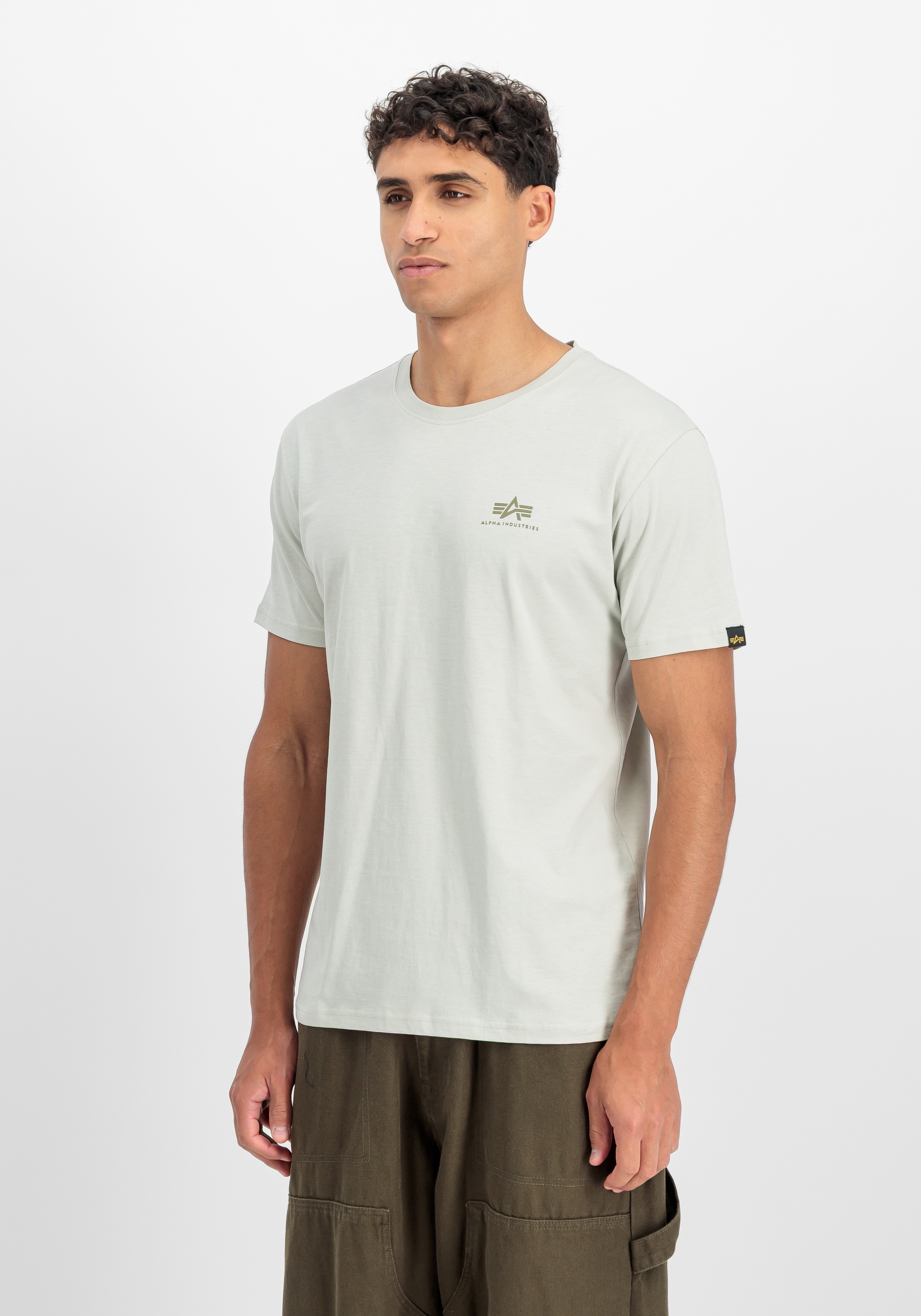 Alpha Industries T-Shirt »Camo Backprint T-Shirt«