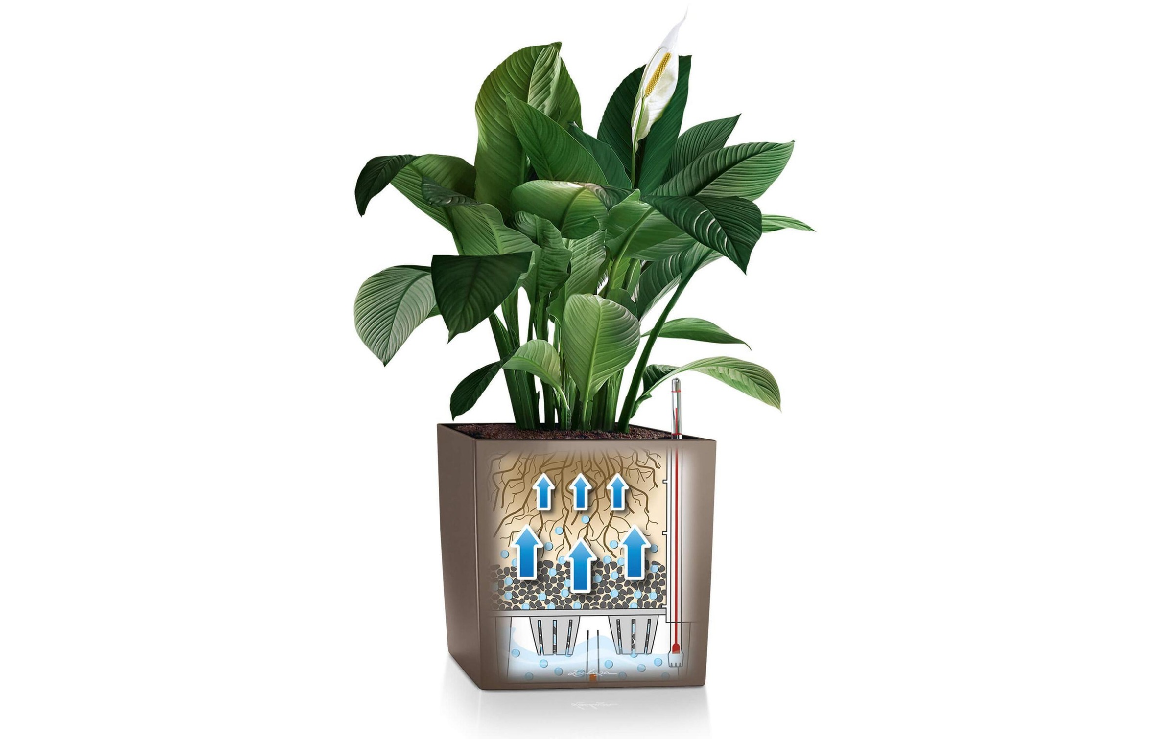 Blumentopf »Lechuza Cube 40 Weiss«