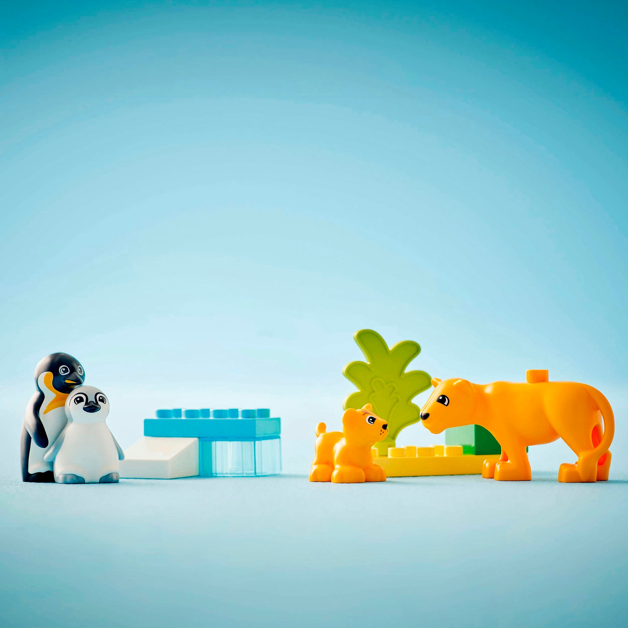 LEGO® Konstruktionsspielsteine »Wildtier-Familien: Pinguine und Löwen (10442), LEGO DUPLO Town« Made in Europe