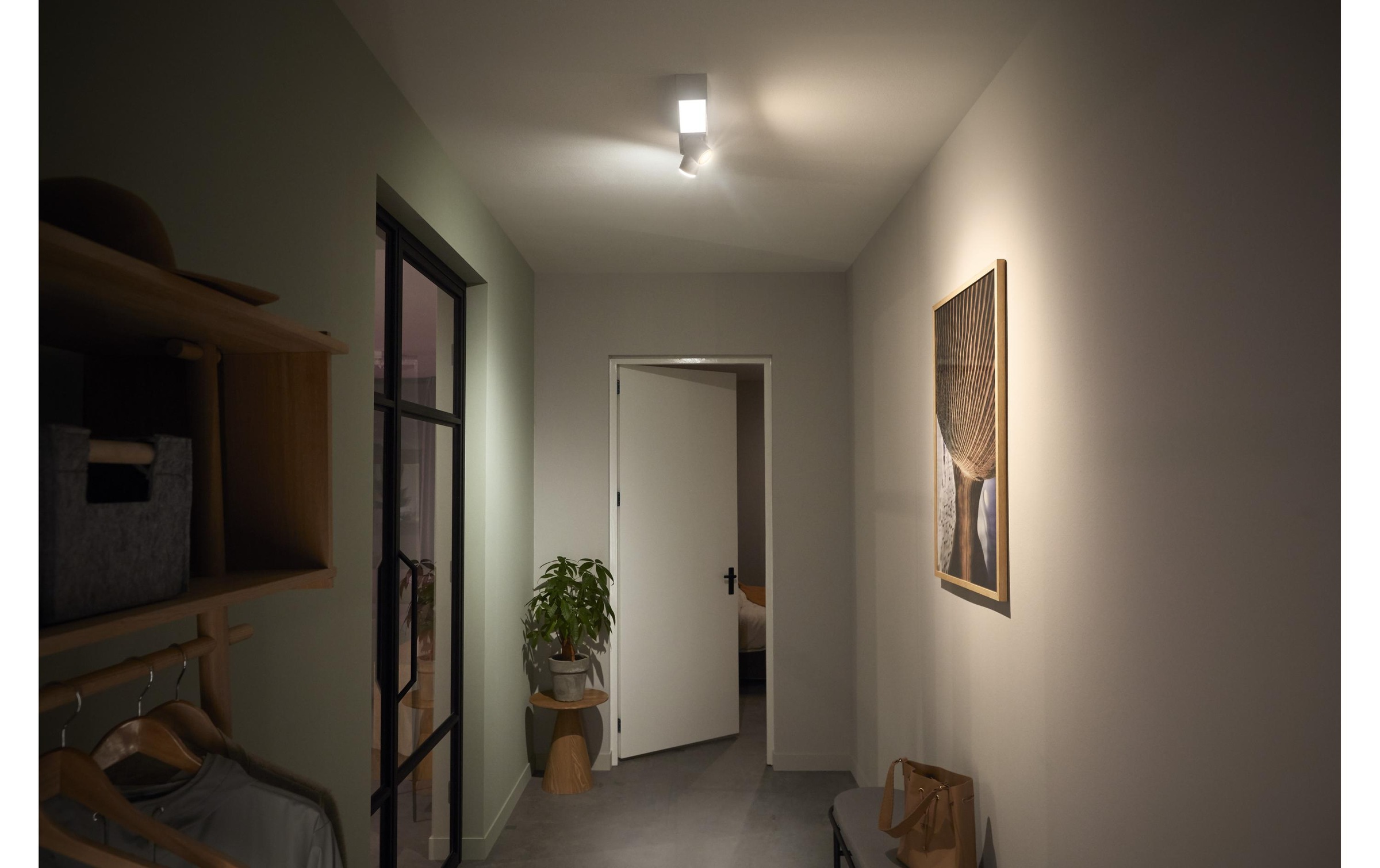 Philips Hue Plafonnier LED »Centris 2-Deckenspot«