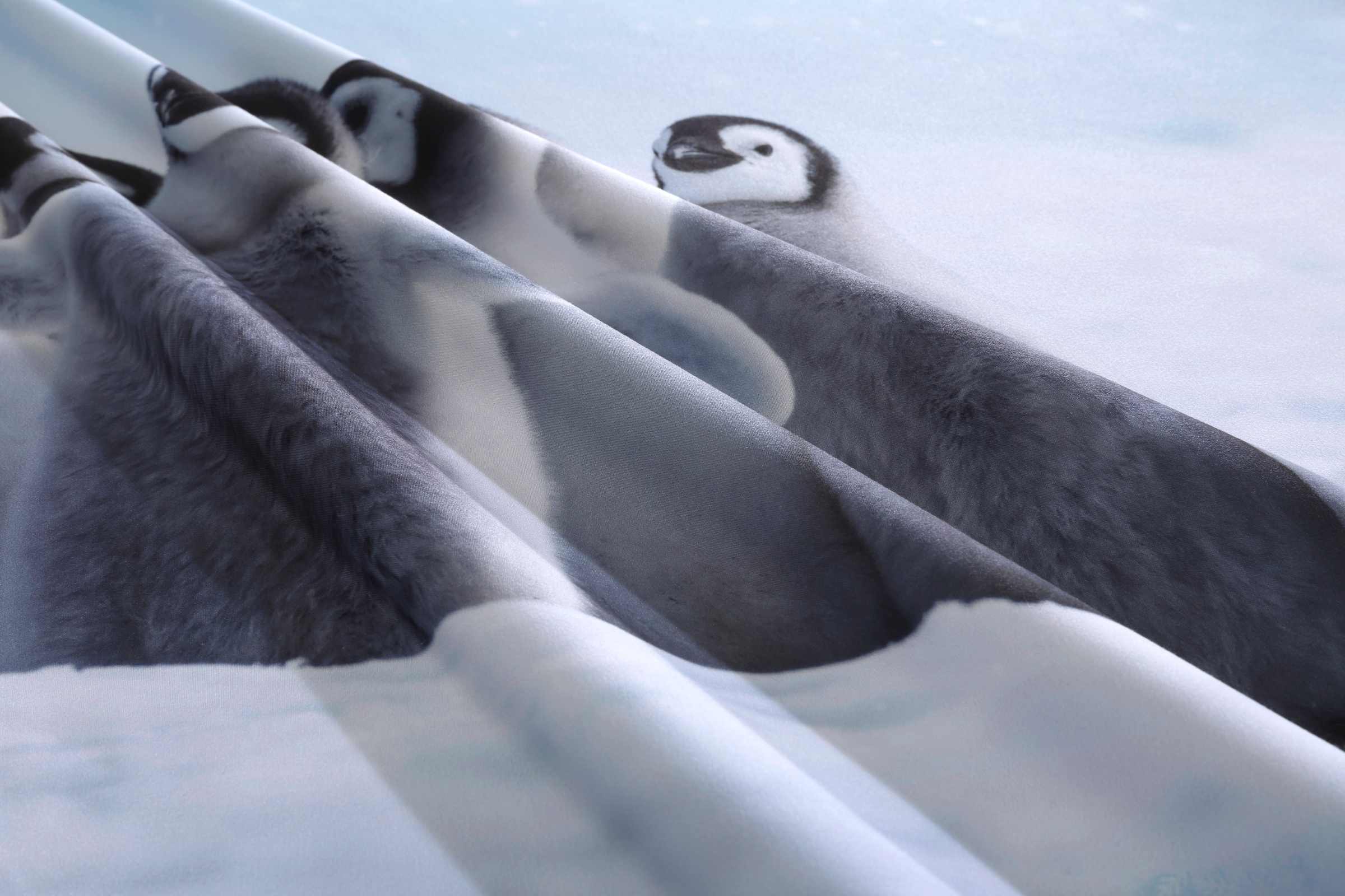 my home Bettwäsche »Lyki«, ab Grösse 135x200 cm, 100% Polyester, Katze, Pferd, Löwe, Pinguin