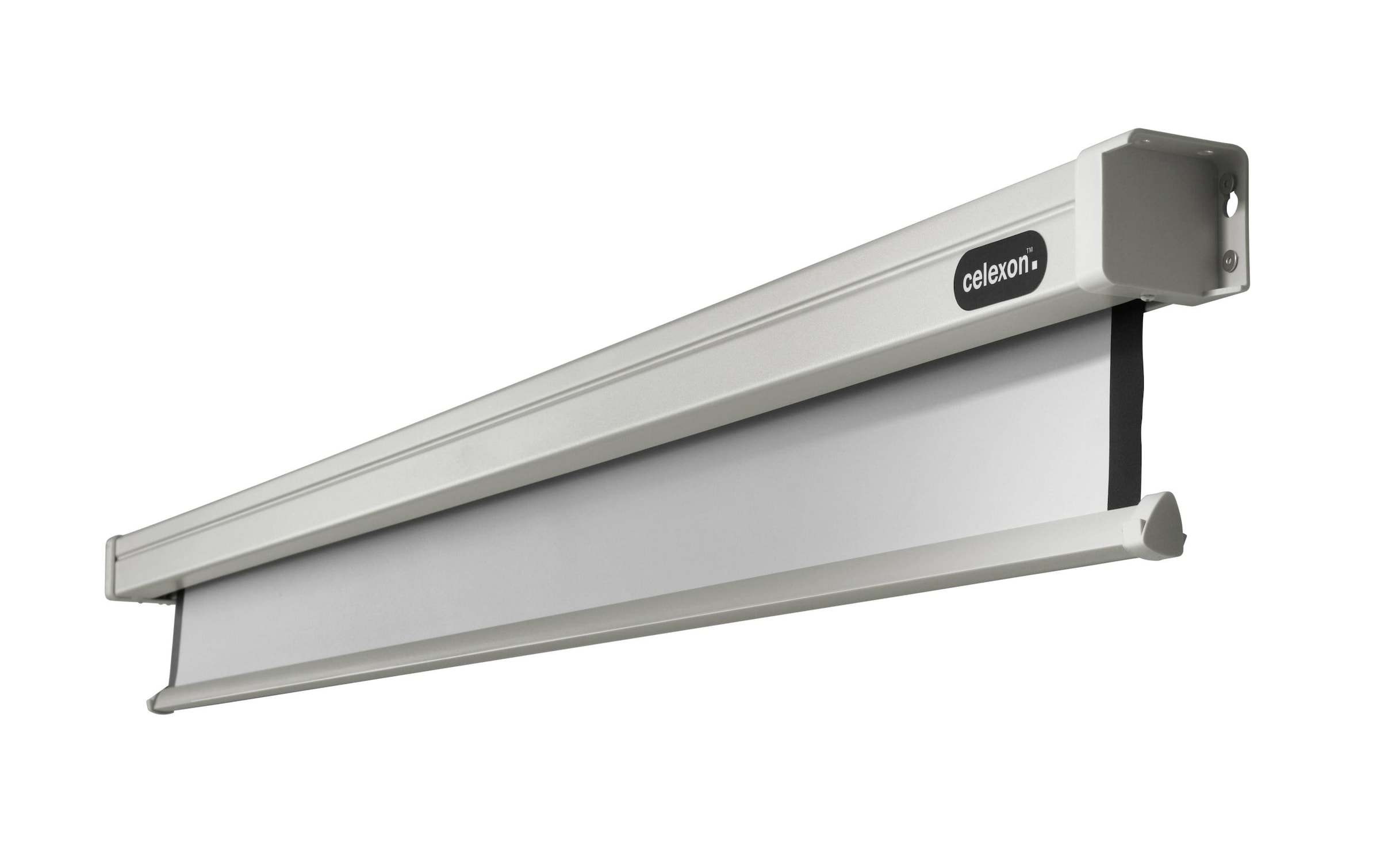 Image of Celexon Motorleinwand "Motor Professional 240x240cm"