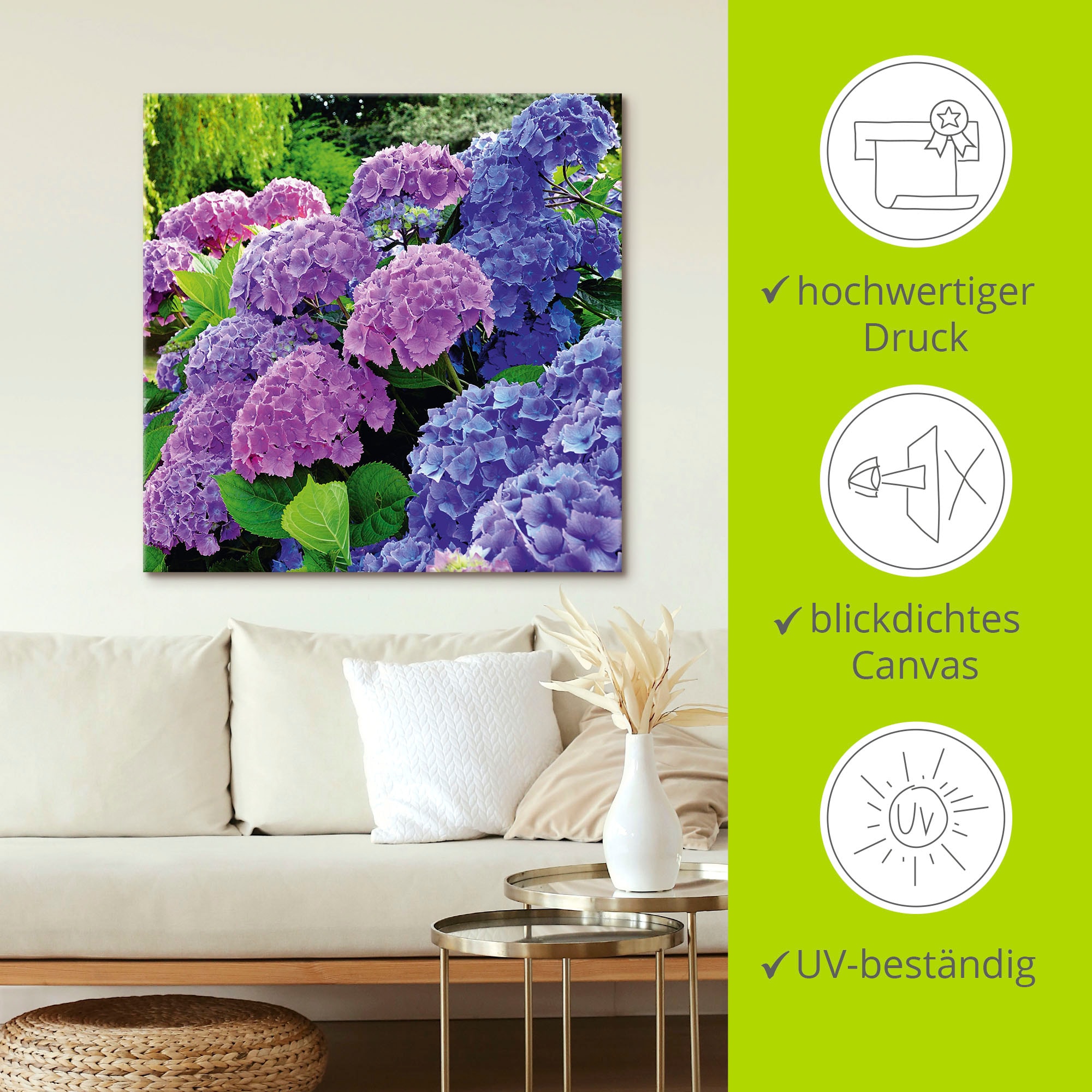 Artland Wandbild »Hortensien im Garten«, Blumen, (1 St.), als Alubild, Outdoorbild, Leinwandbild, Poster, Wandaufkleber