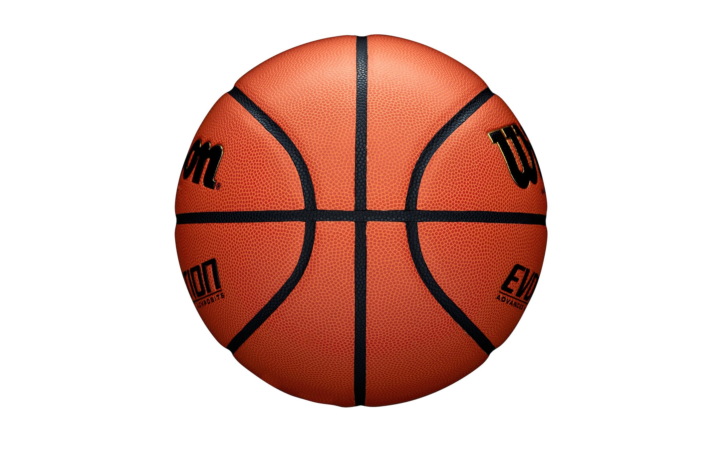 Wilson Basketball »Evolution Game Ball«