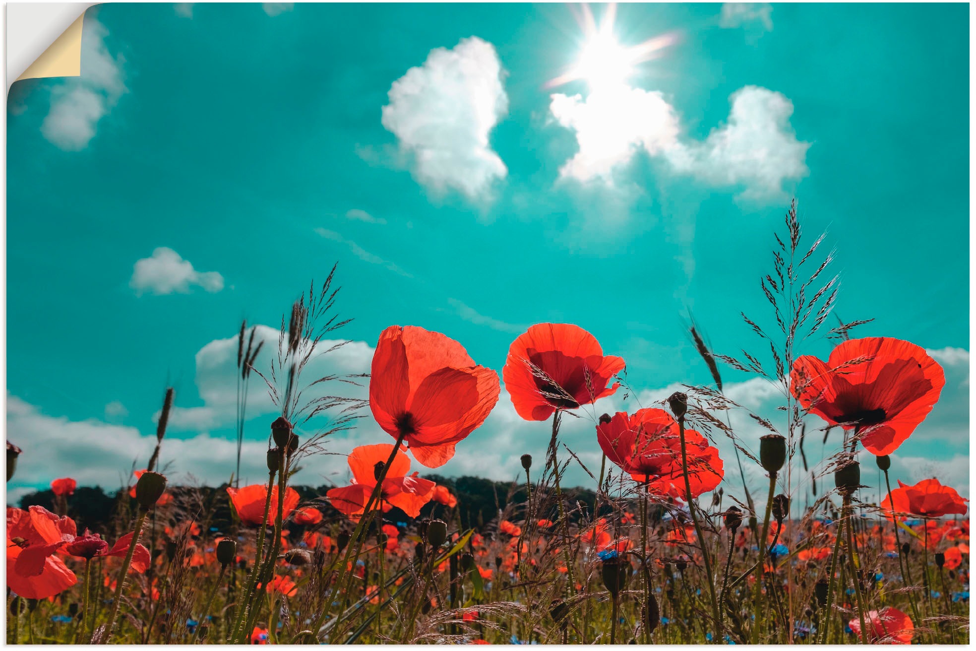 Image of Artland Wandbild »Mohnblumenfeld im Frühling«, Blumen, (1 St.), in vielen Grössen & Produktarten - Alubild / Outdoorbild für den Aussenbereich, Leinwandbild, Poster, Wandaufkleber / Wandtattoo auch für Badezimmer geeignet bei Ackermann Versand Schweiz