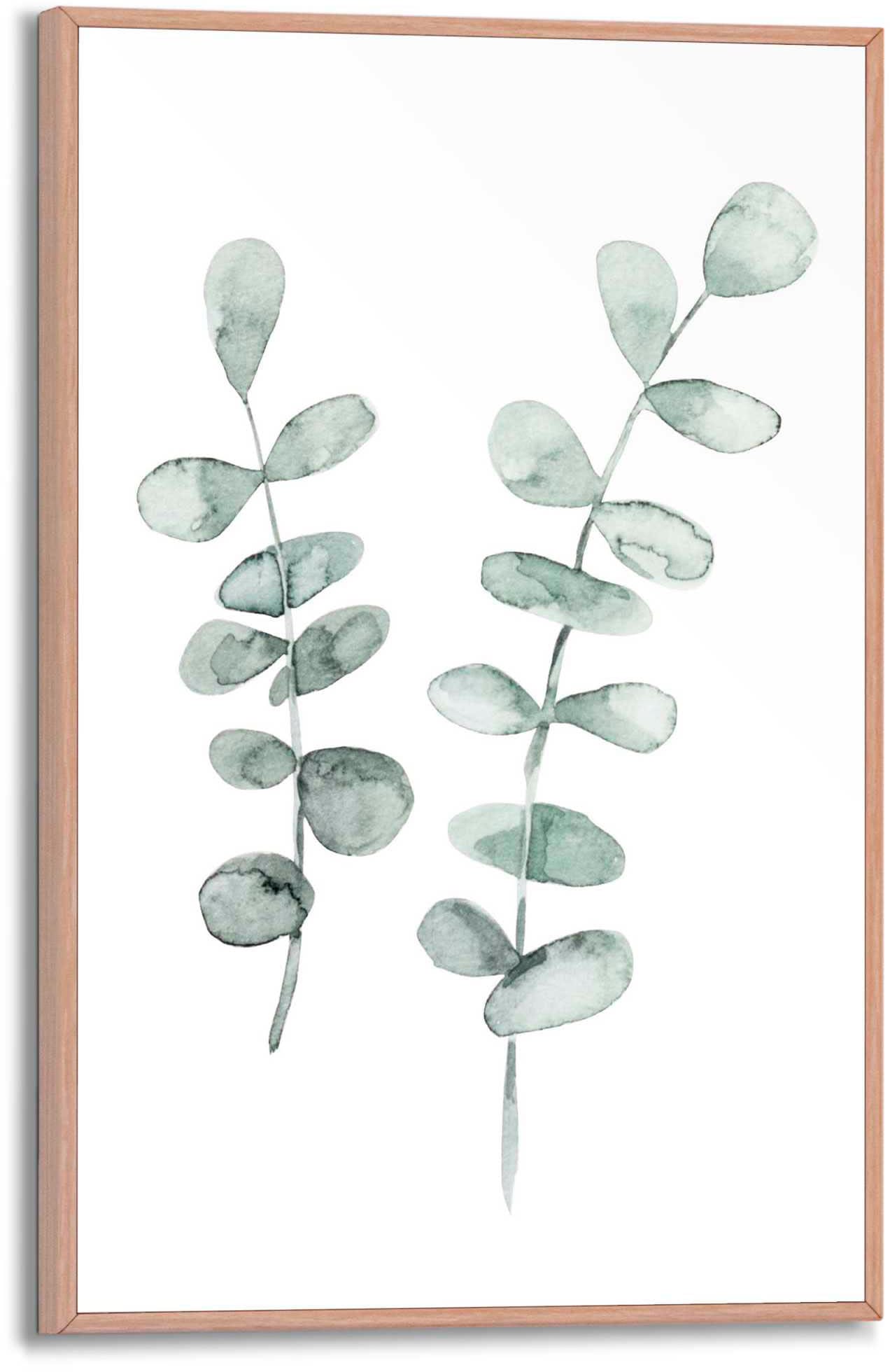 Image of Reinders Poster "Eukalyptus"