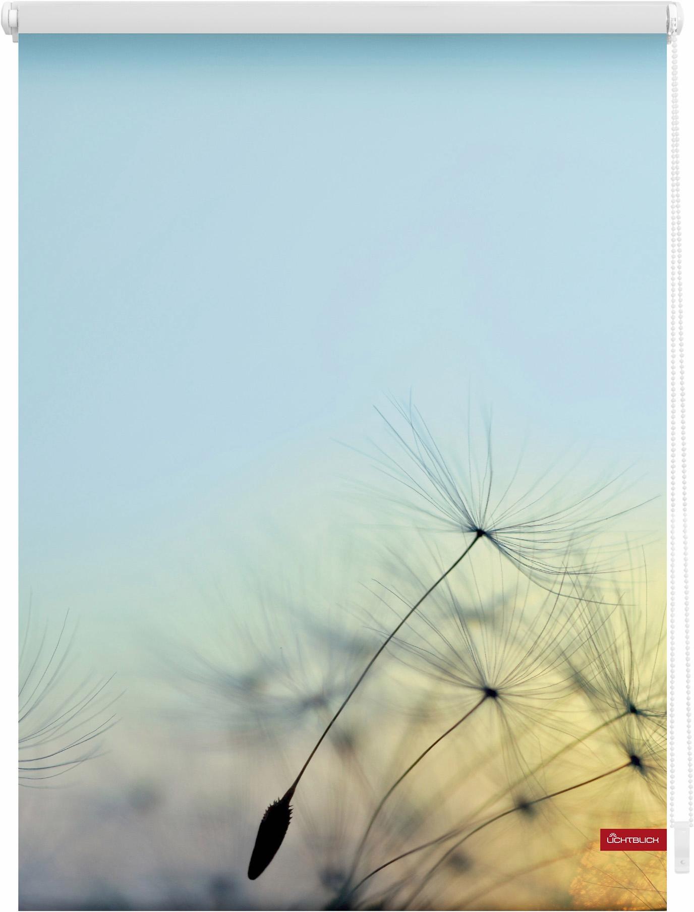 Image of LICHTBLICK ORIGINAL Seitenzugrollo »Klemmfix Motiv Pusteblume«, Lichtschutz, ohne Bohren, freihängend, bedruckt bei Ackermann Versand Schweiz