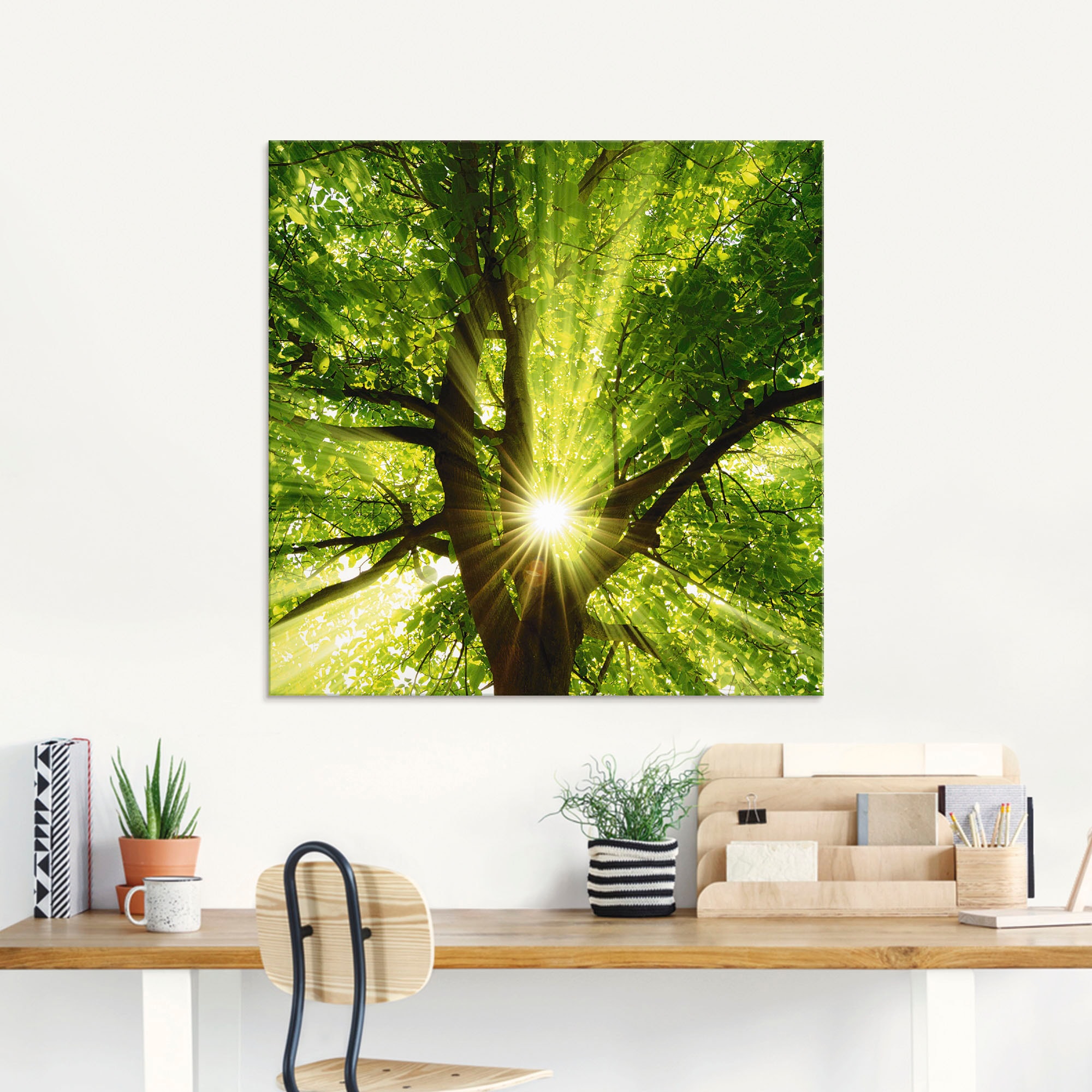 Artland Glasbild »Sonne strahlt explosiv durch den Baum«, Bäume, (1 St.),  in verschiedenen Grössen jetzt kaufen