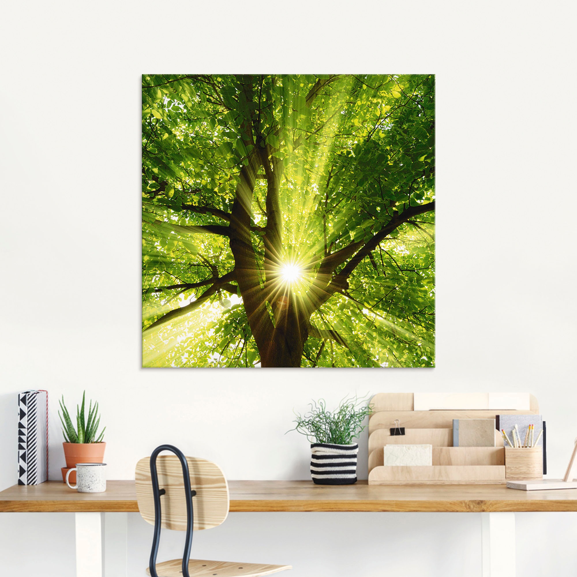 Artland Glasbild "Sonne strahlt explosiv durch den Baum" Bäume 1 Stk. tlg. in verschiedenen Grössen