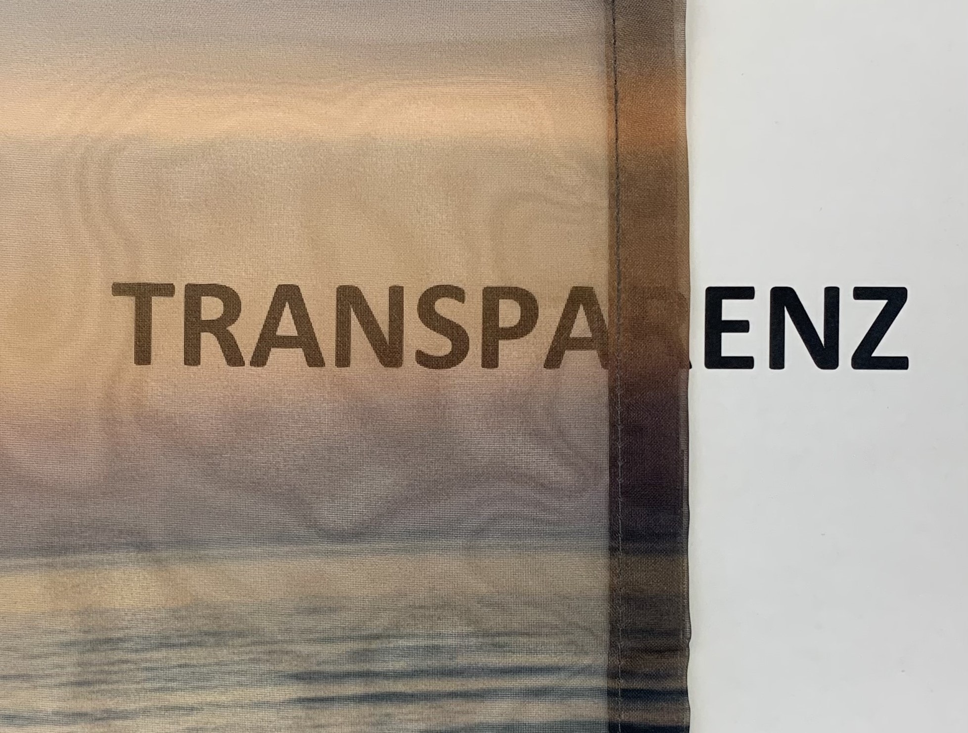 HOME WOHNIDEEN Rideau à vitres »EVENING« Boucles 1 cuis tlg. HxB: 45x120, Dekostoff Digitaldruck