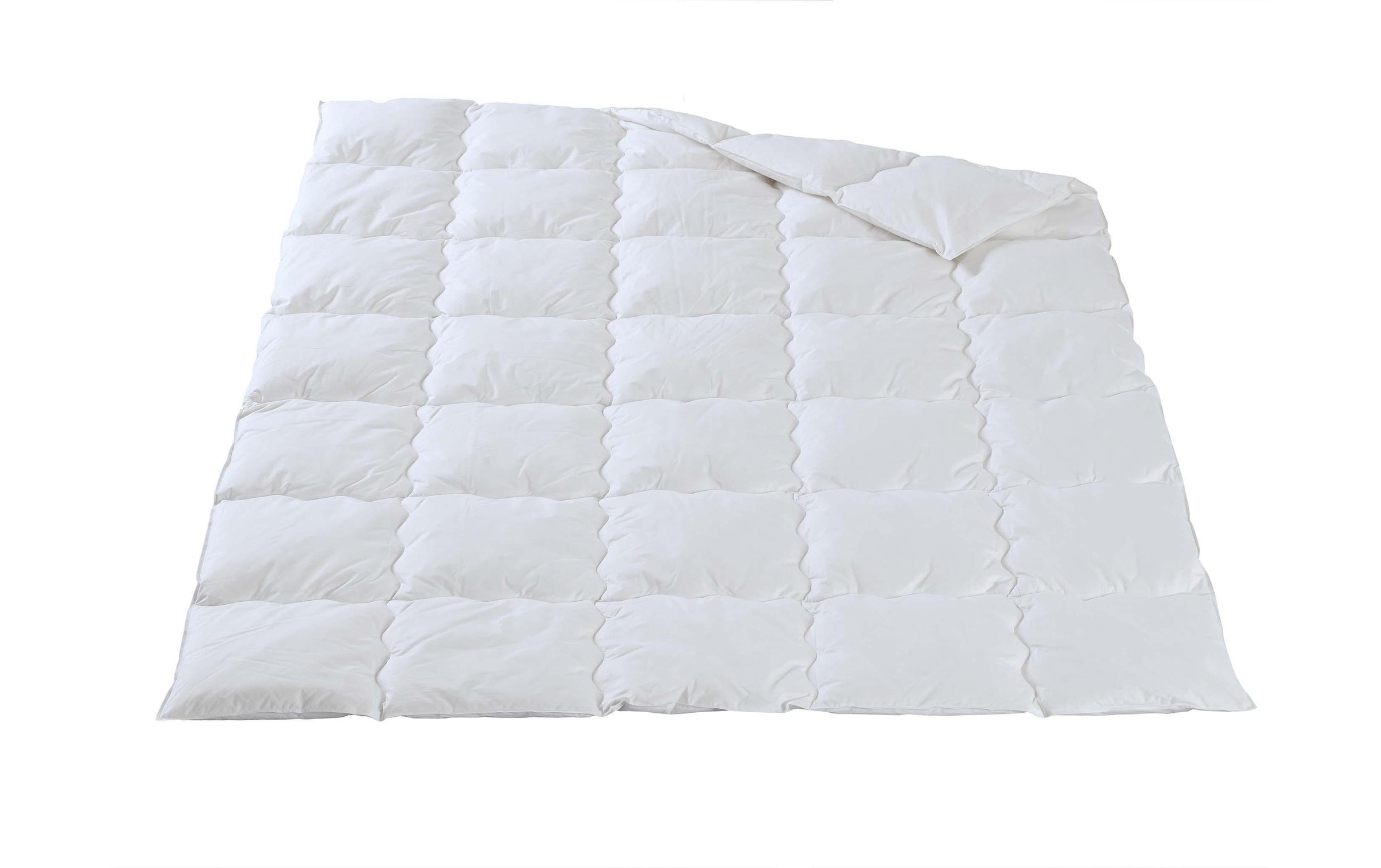 Image of DOR 4-Jahreszeitenbett »Camelia Classic anzjahr, 160 x 210 cm«, 4-Jahreszeiten, (1 St.) bei Ackermann Versand Schweiz